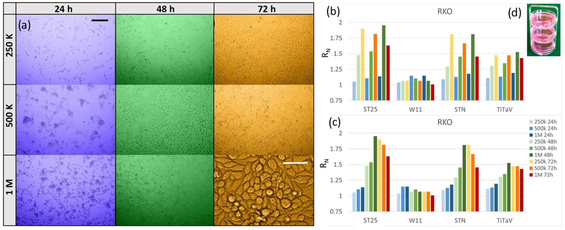 Chemosensors 11 00519 g024