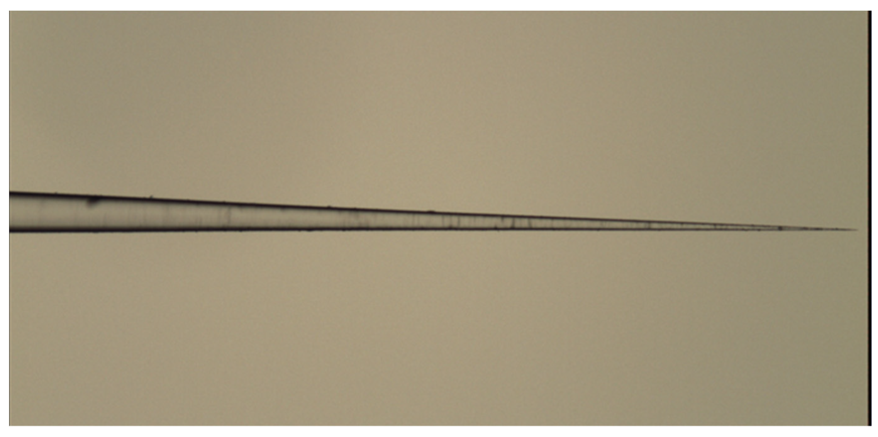 Chemosensors 11 00521 g004