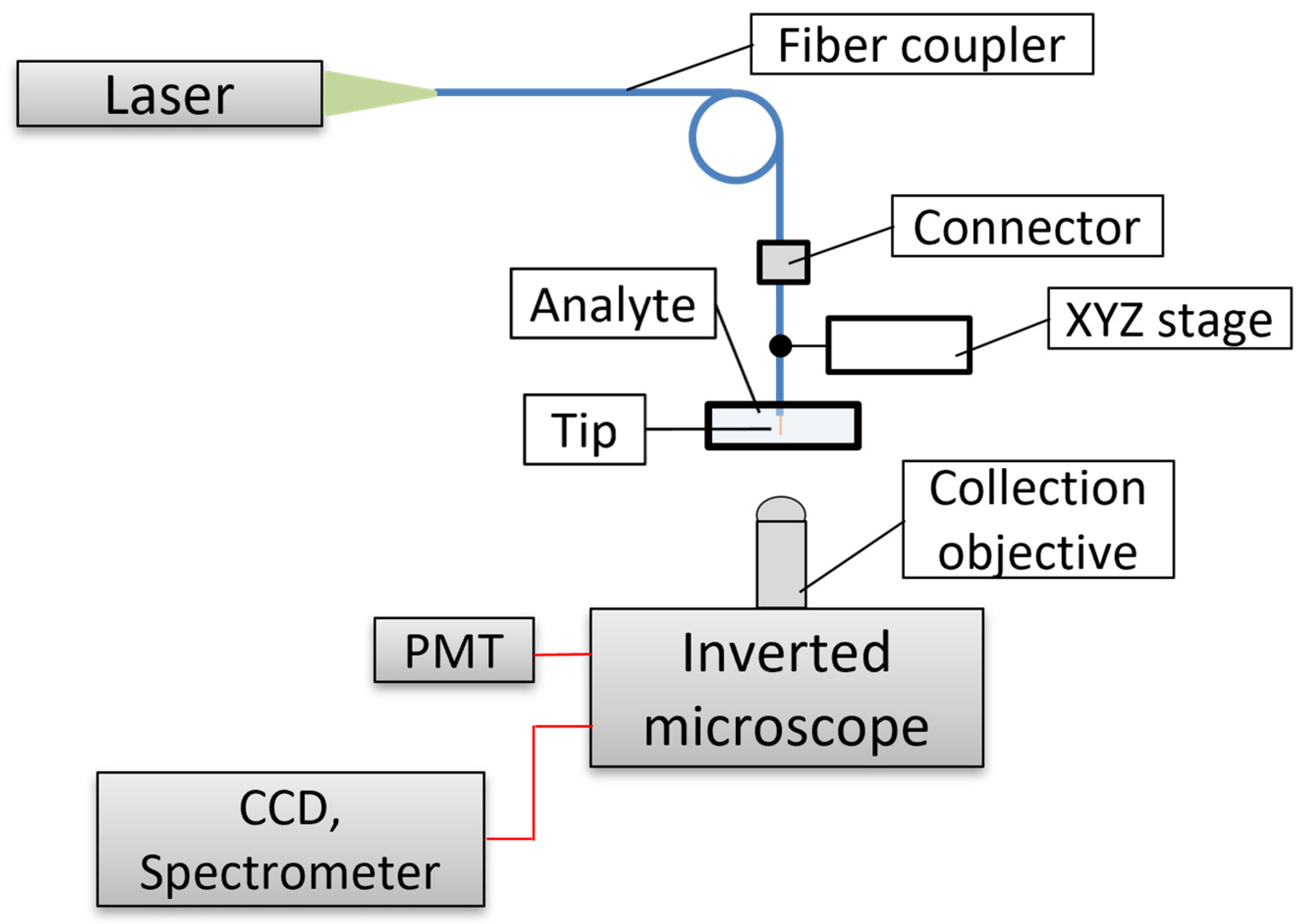 Chemosensors 11 00521 g007