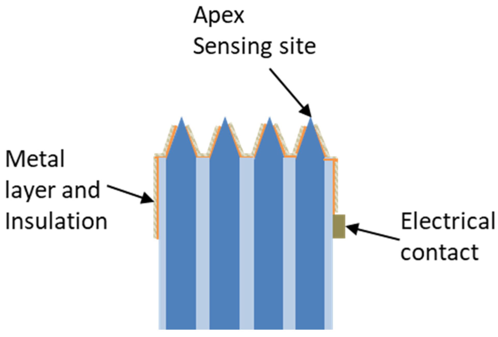 Chemosensors 11 00521 g012
