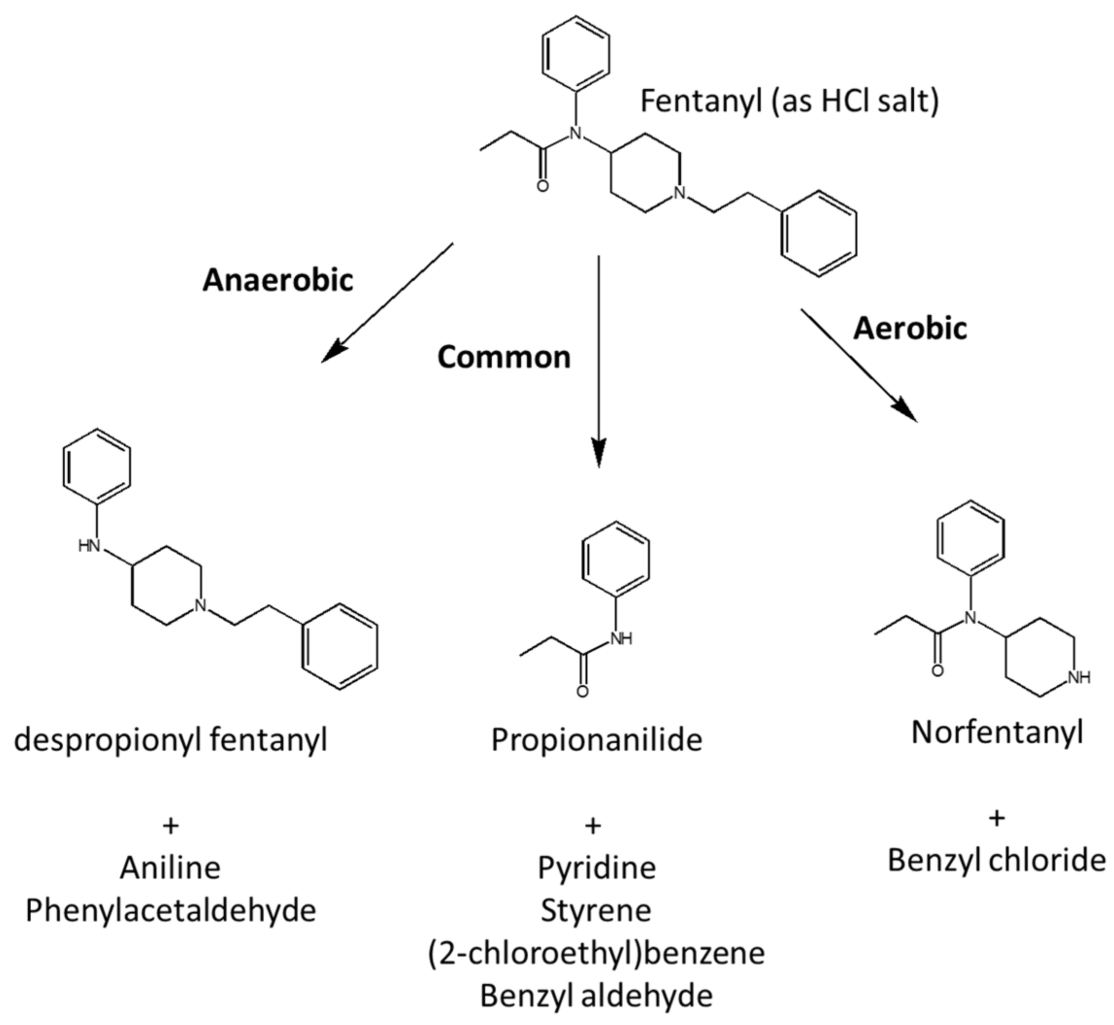 Chemosensors 11 00527 g003