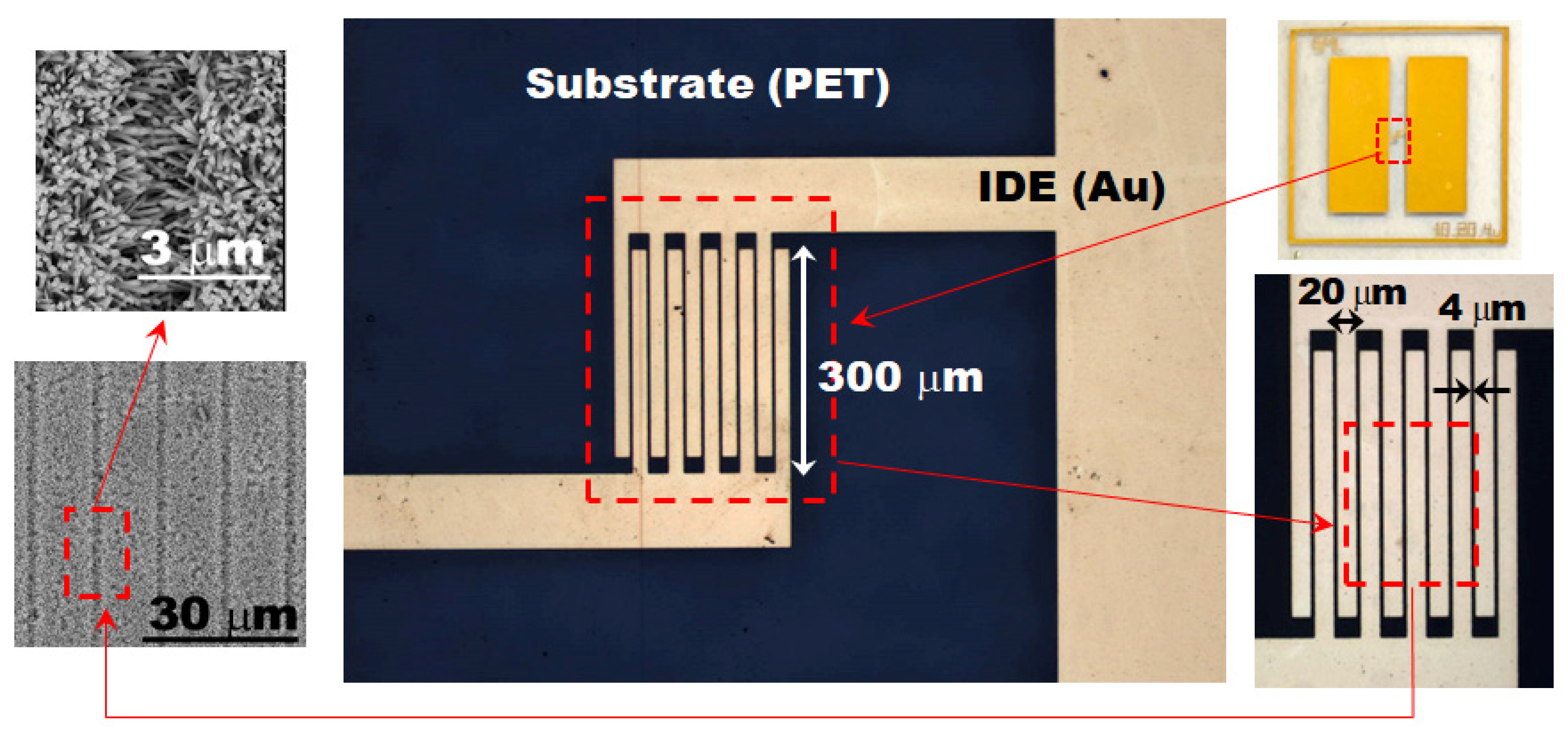 Chemosensors 11 00529 g001