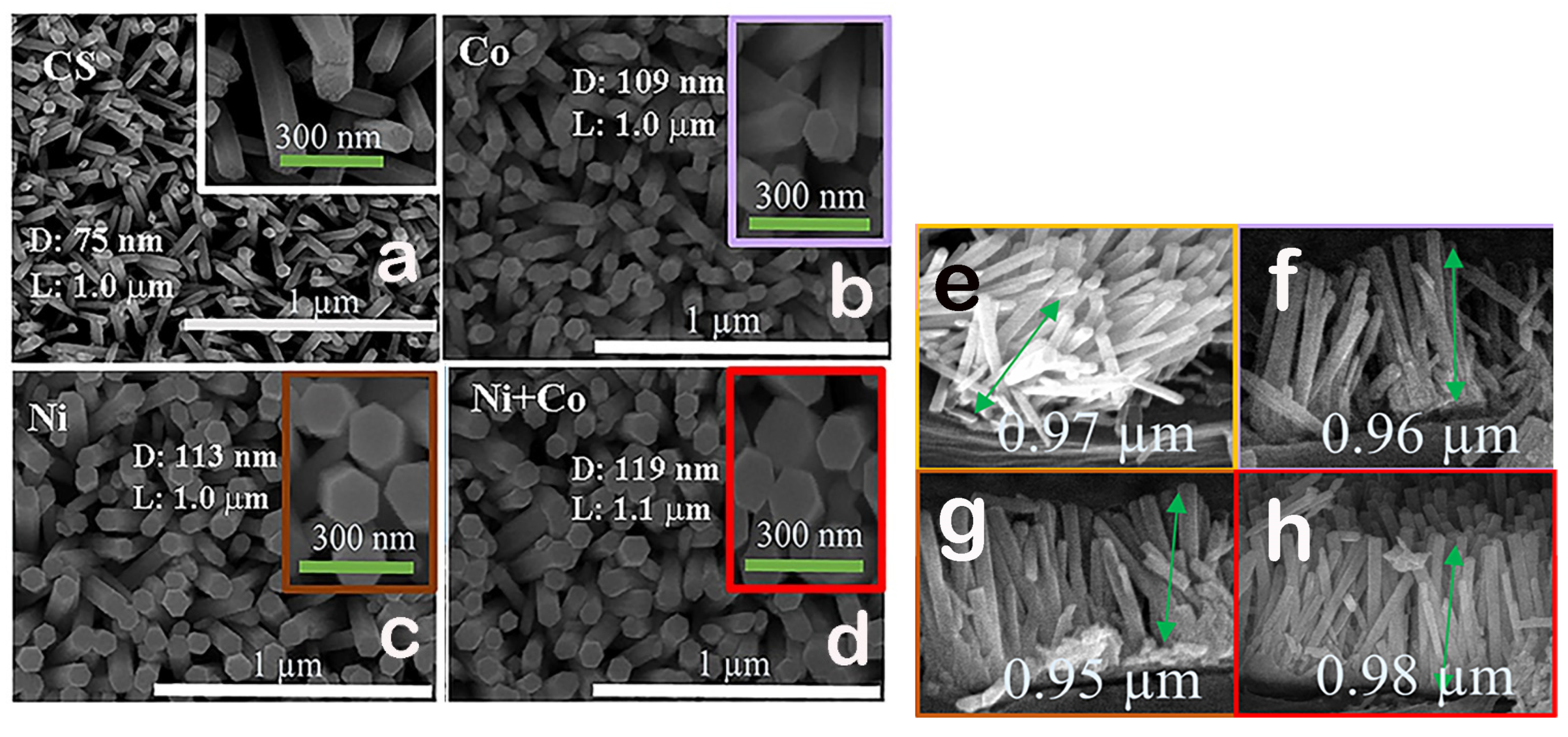 Chemosensors 11 00529 g003