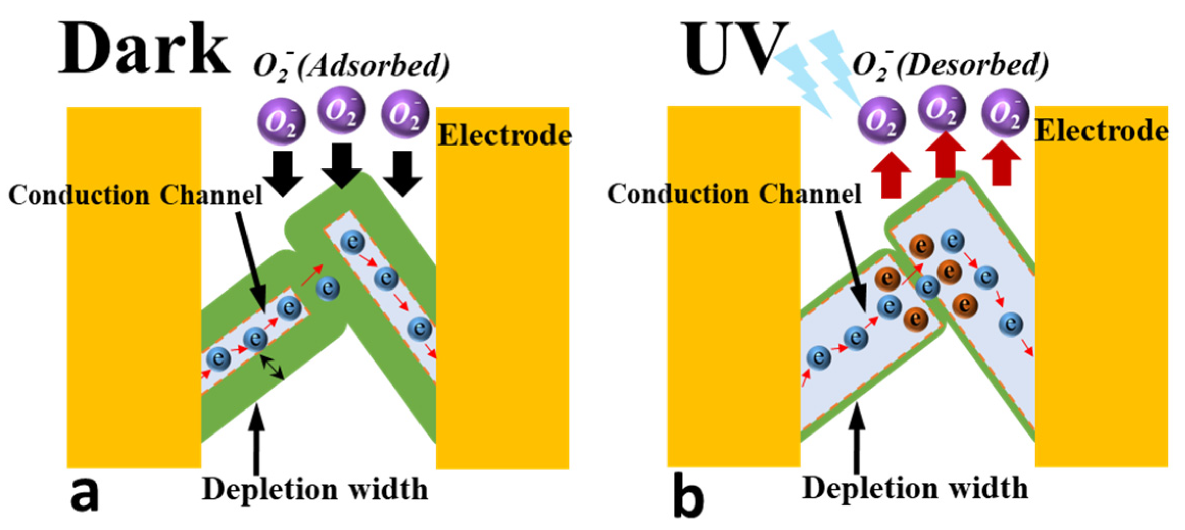 Chemosensors 11 00529 g007