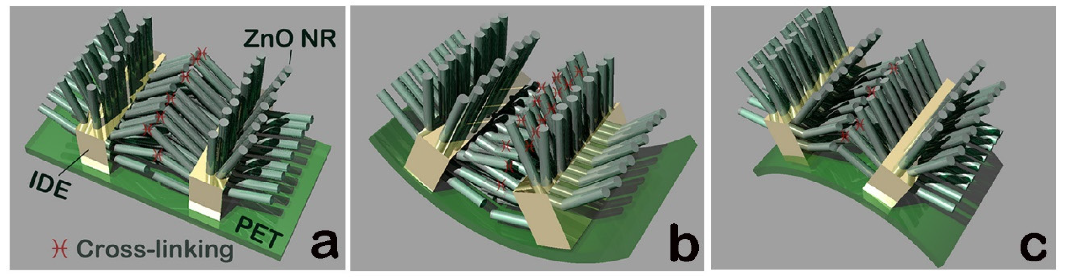 Chemosensors 11 00529 g008