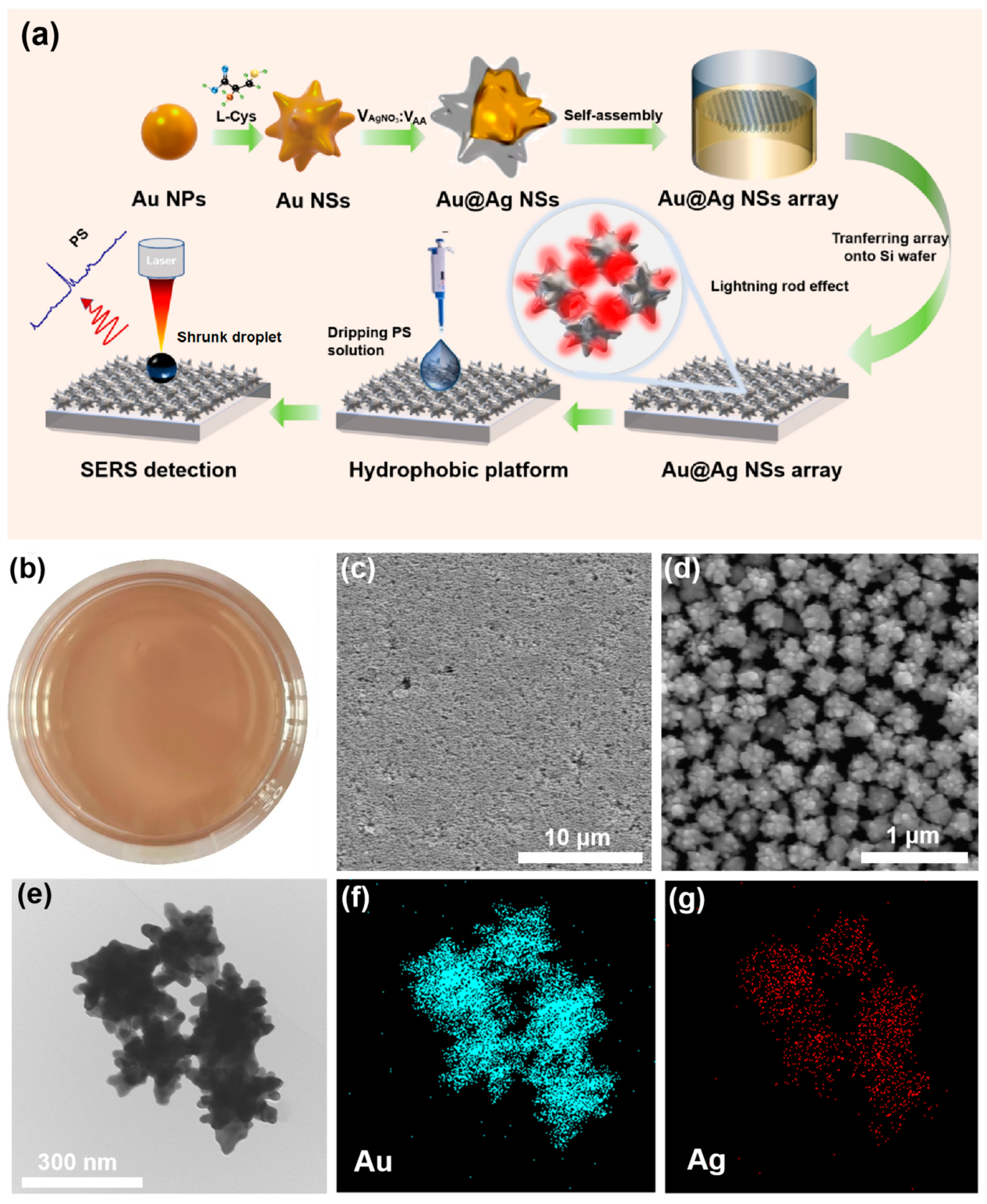 Chemosensors 11 00531 g001