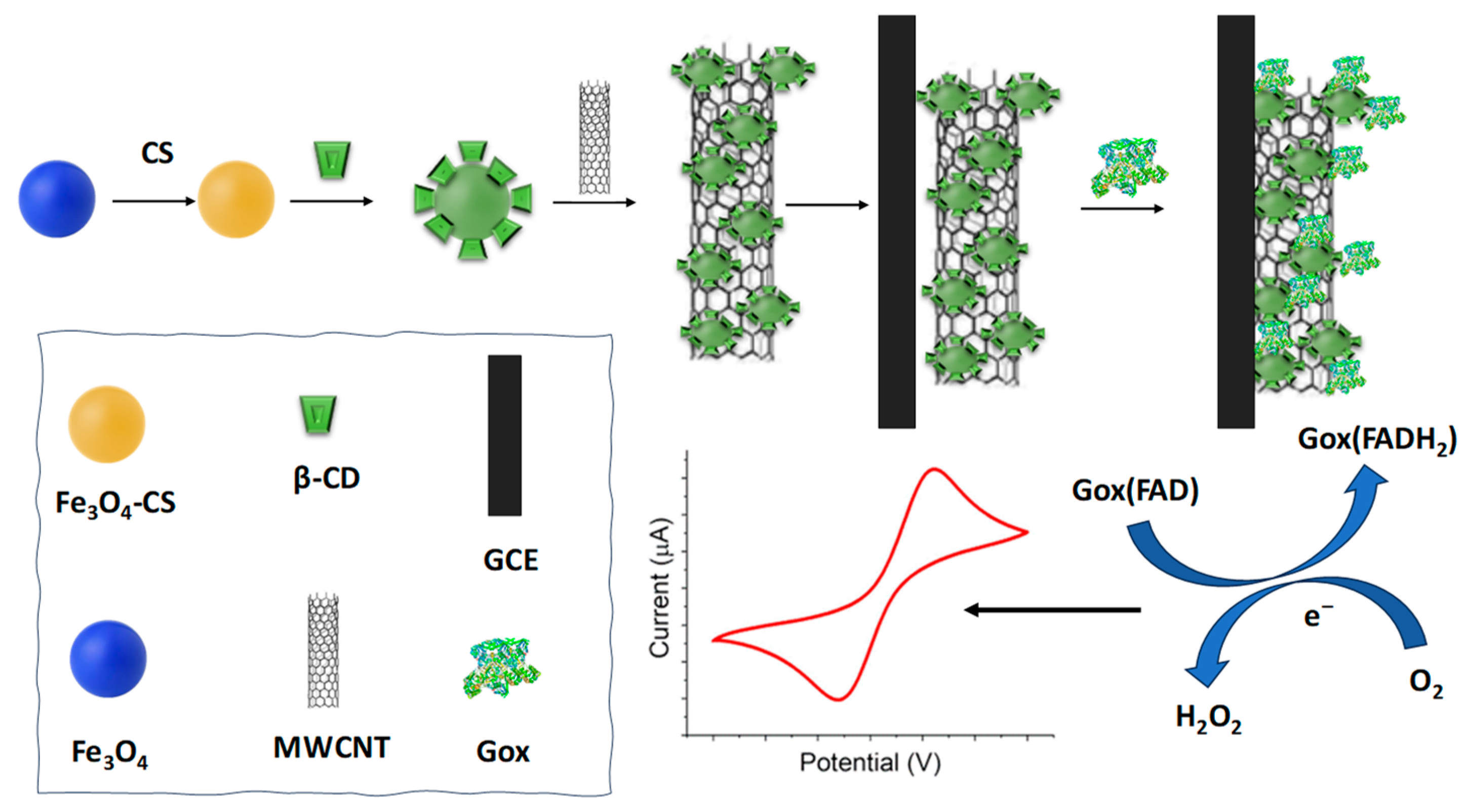 Chemosensors 11 00533 g002