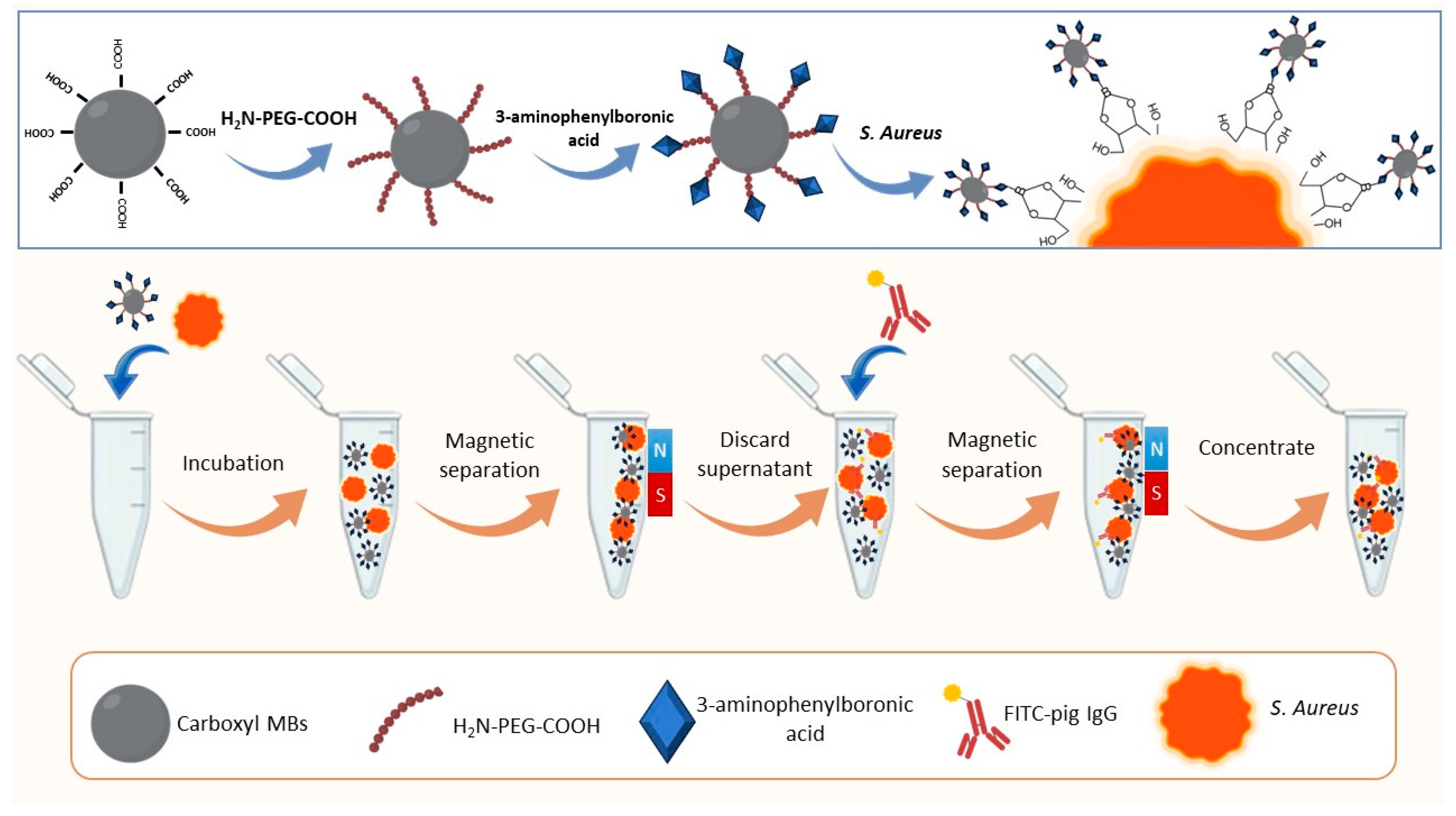 Chemosensors 11 00533 g003