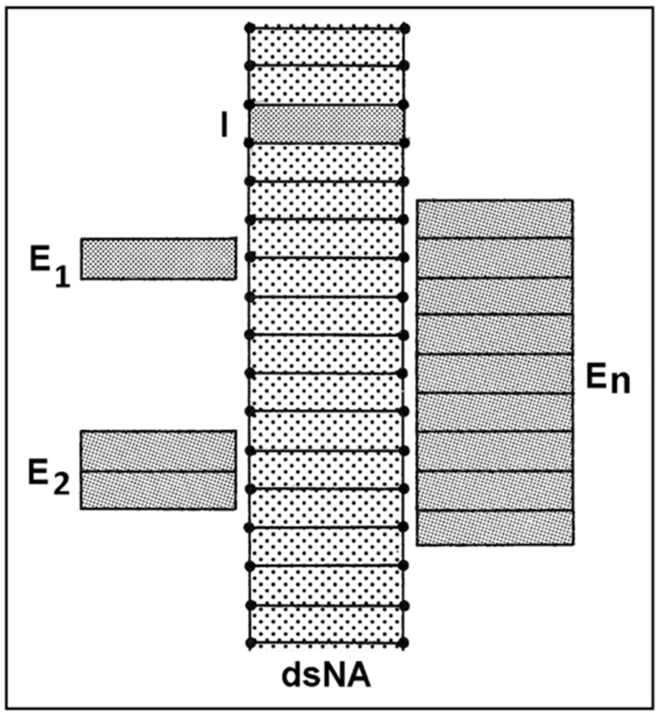 Chemosensors 11 00540 g006