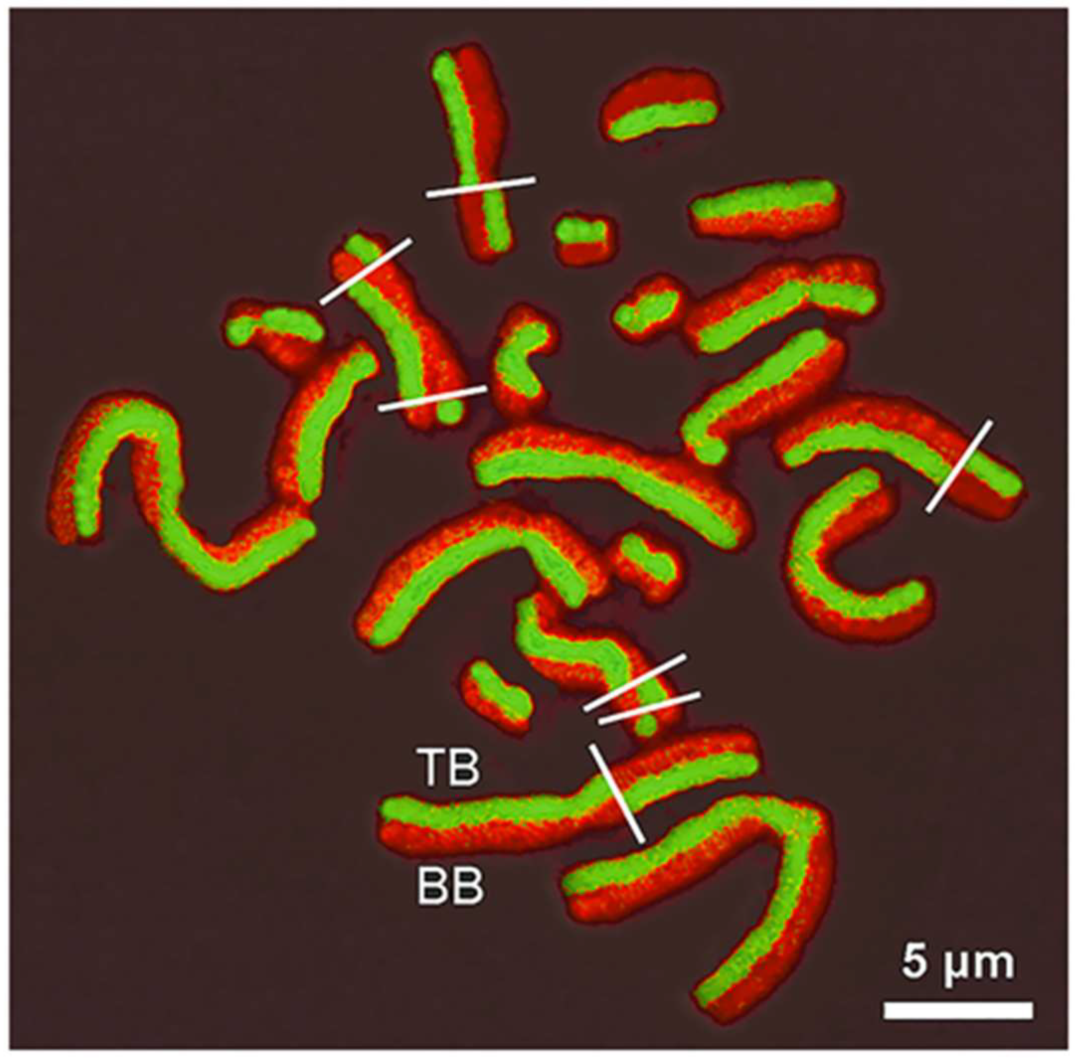 Chemosensors 11 00540 g007