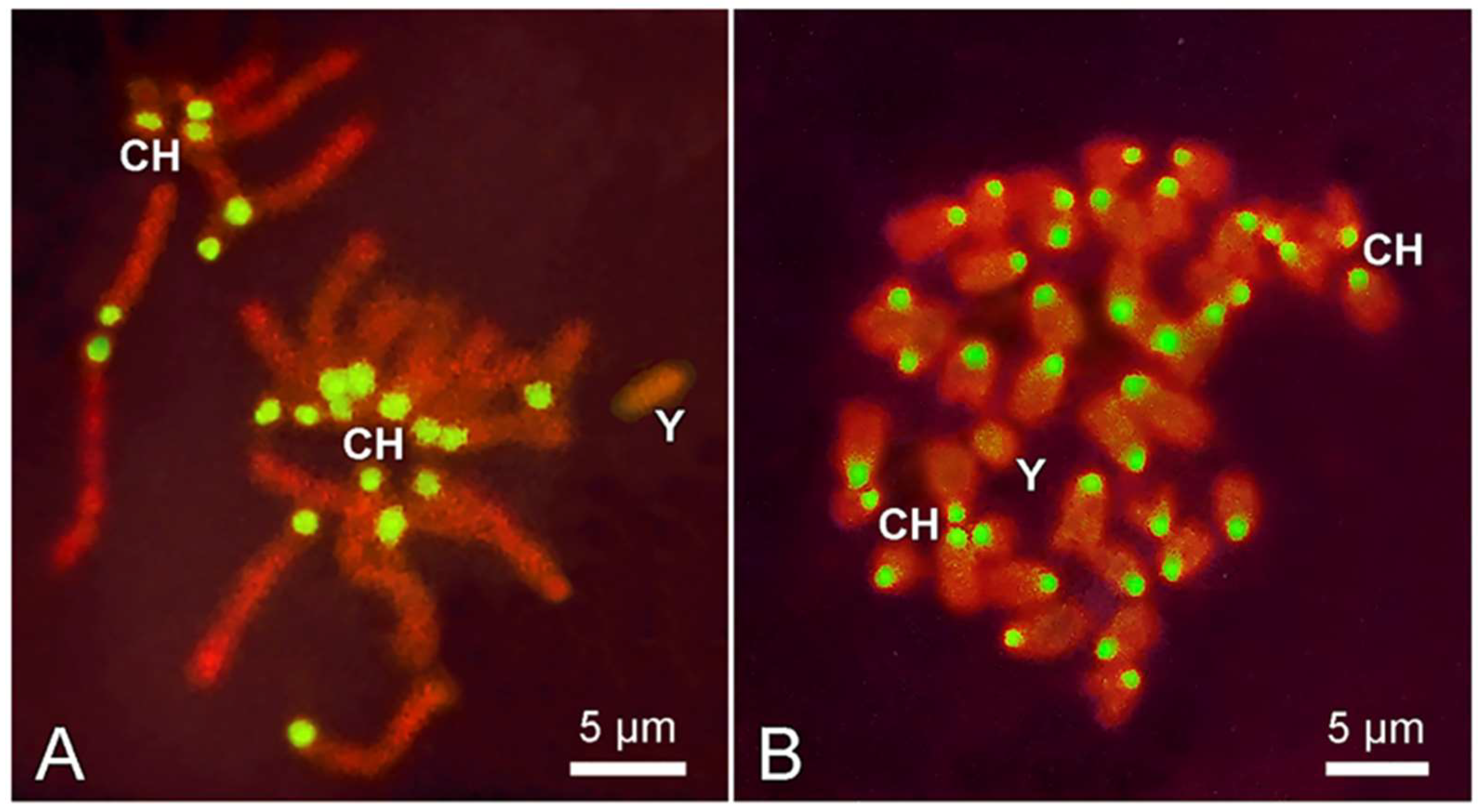 Chemosensors 11 00540 g008