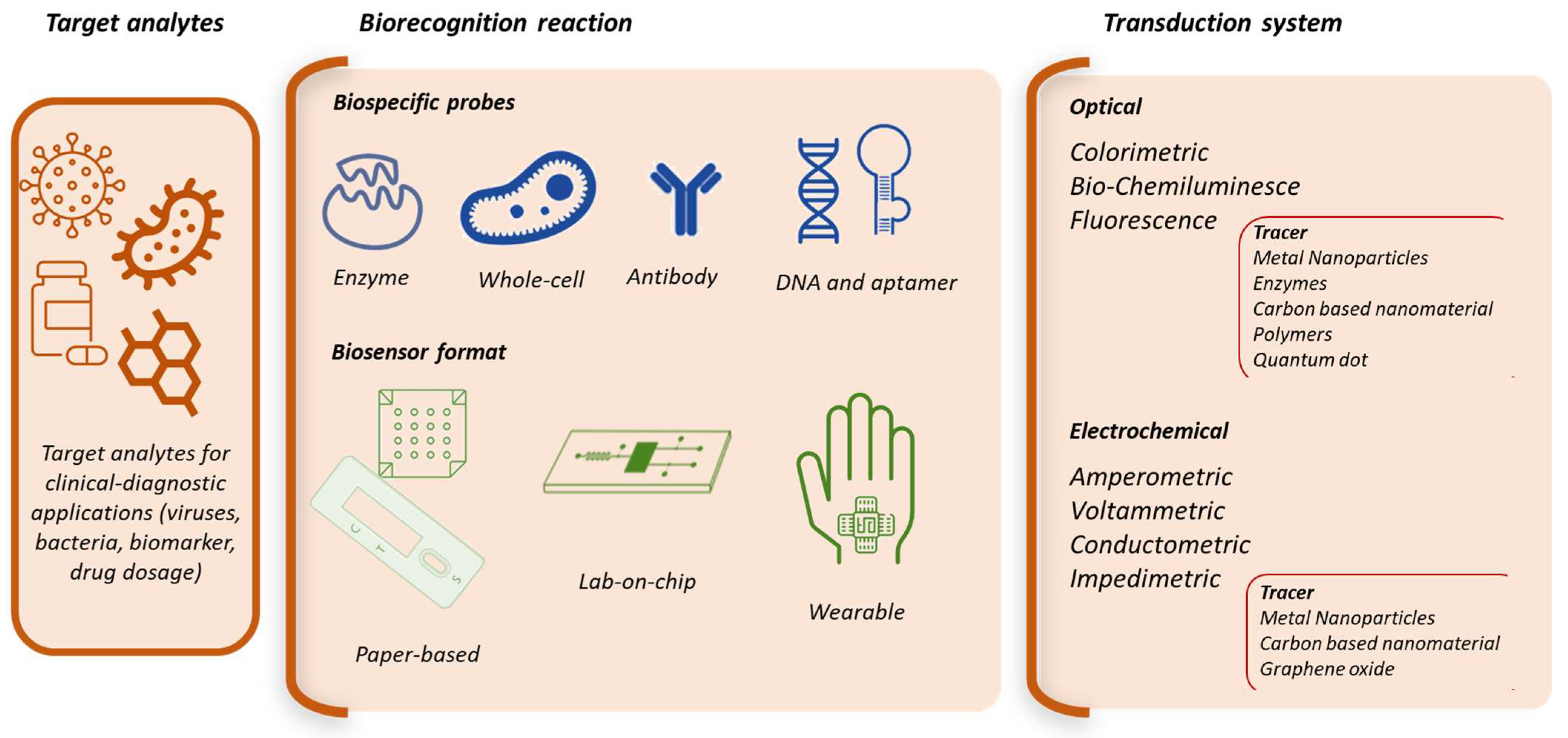 Chemosensors 11 00546 g001