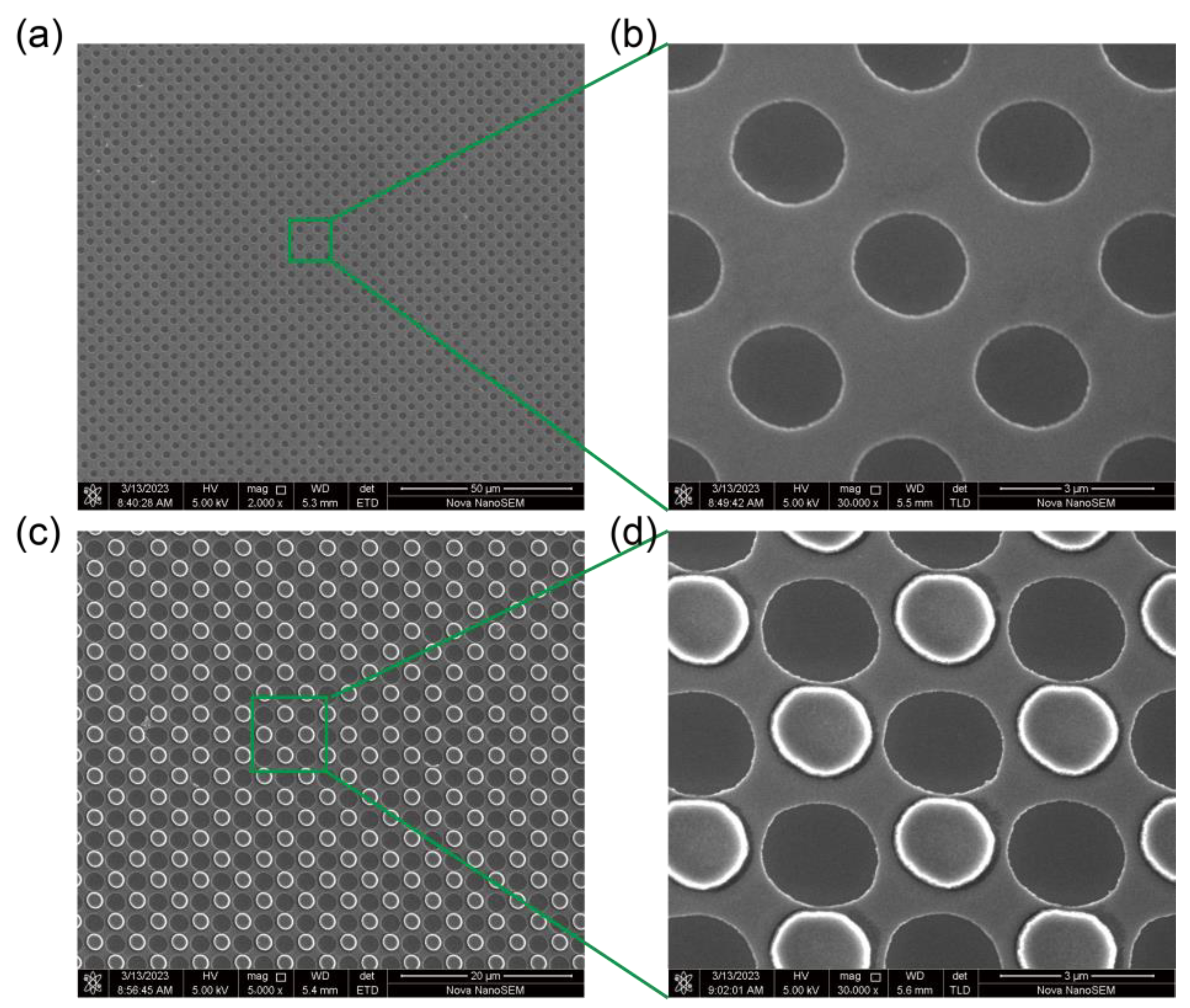 Chemosensors 12 00003 g008