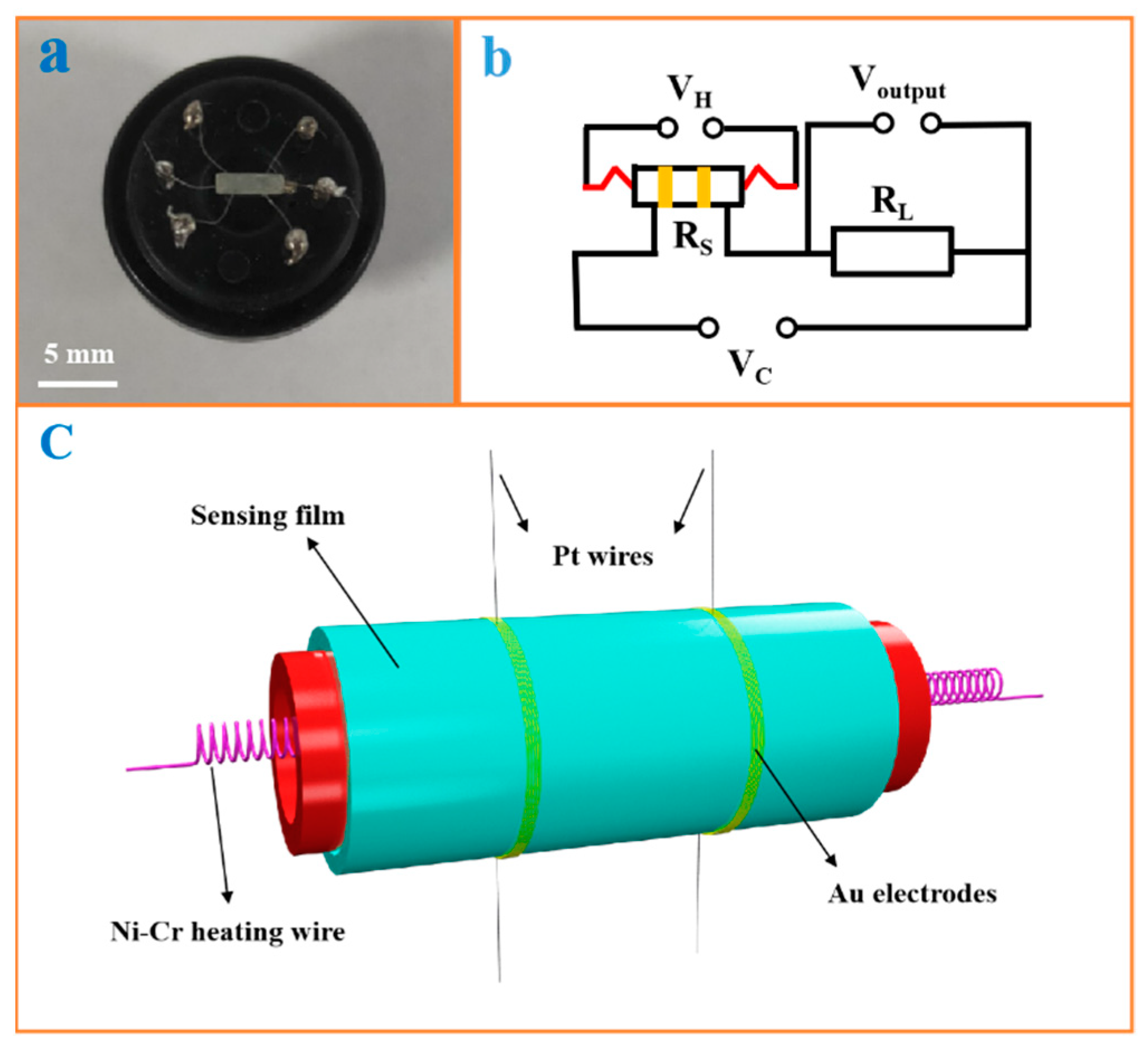 Chemosensors 12 00005 g001