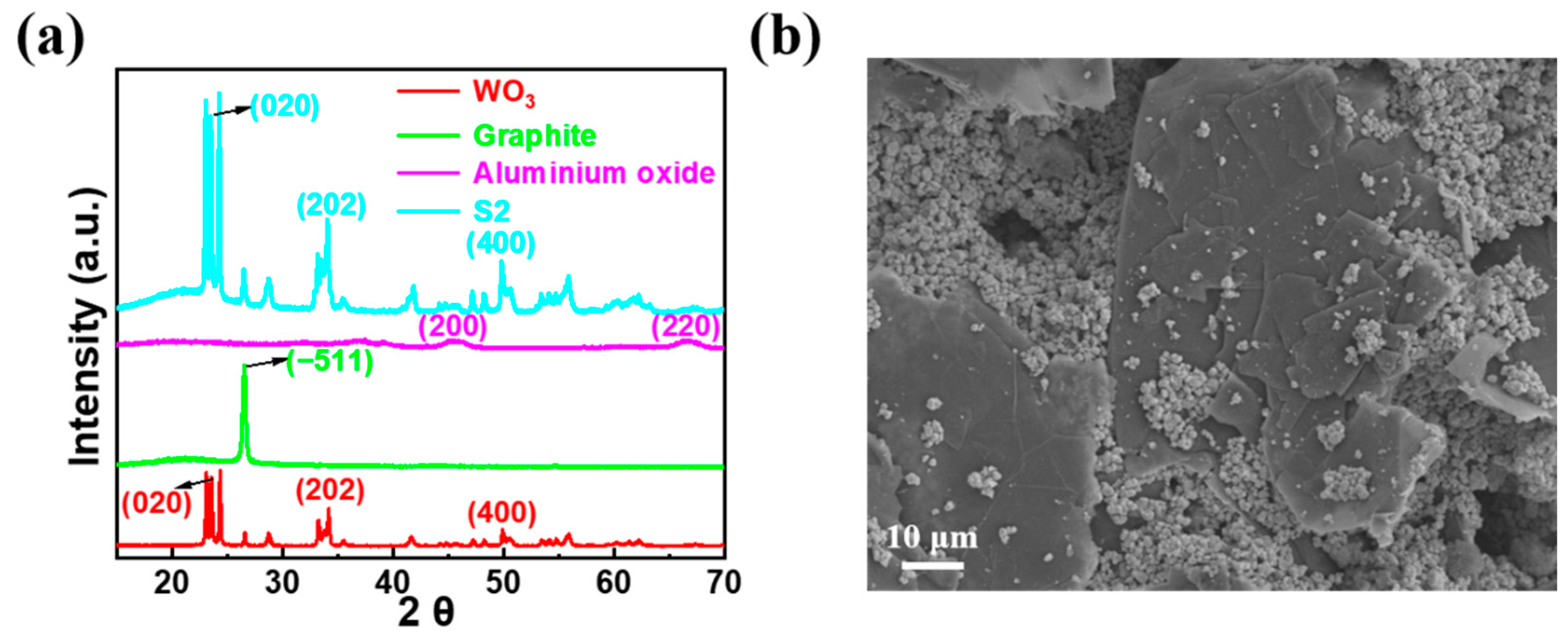Chemosensors 12 00005 g002
