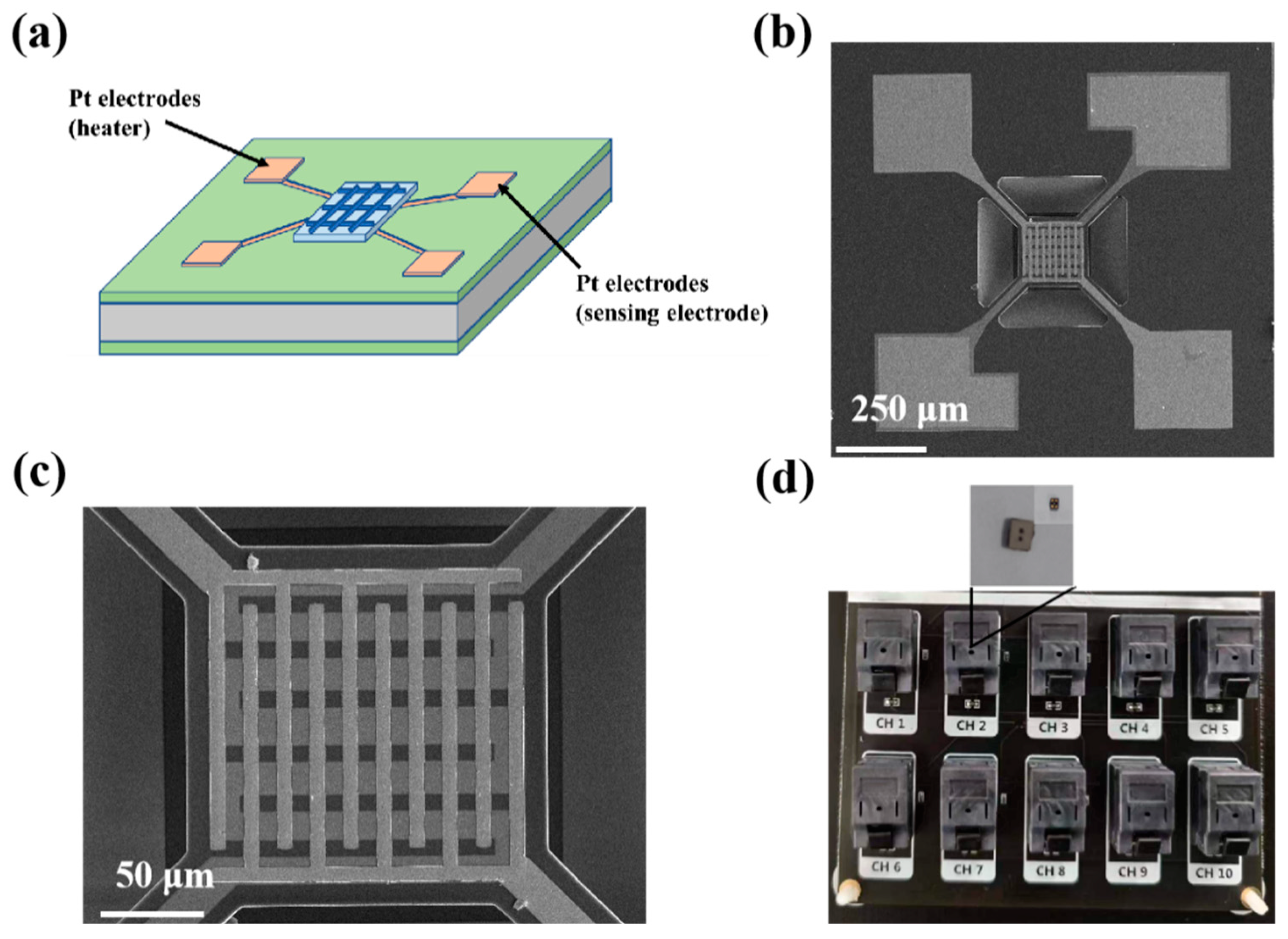 Chemosensors 12 00005 g006