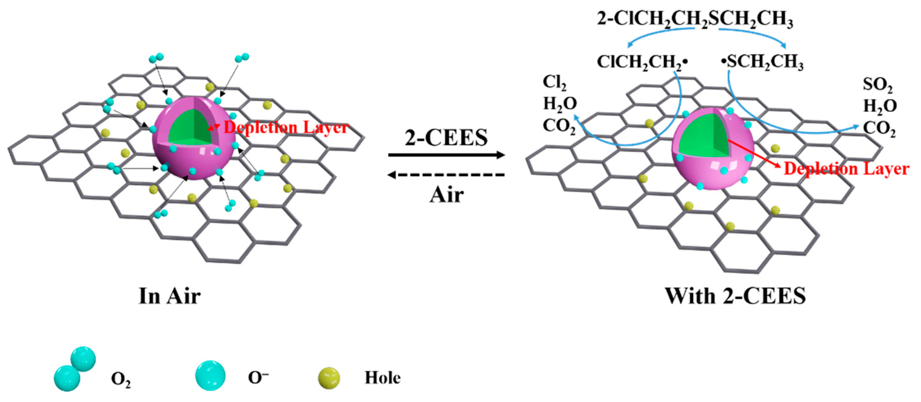 Chemosensors 12 00005 g008