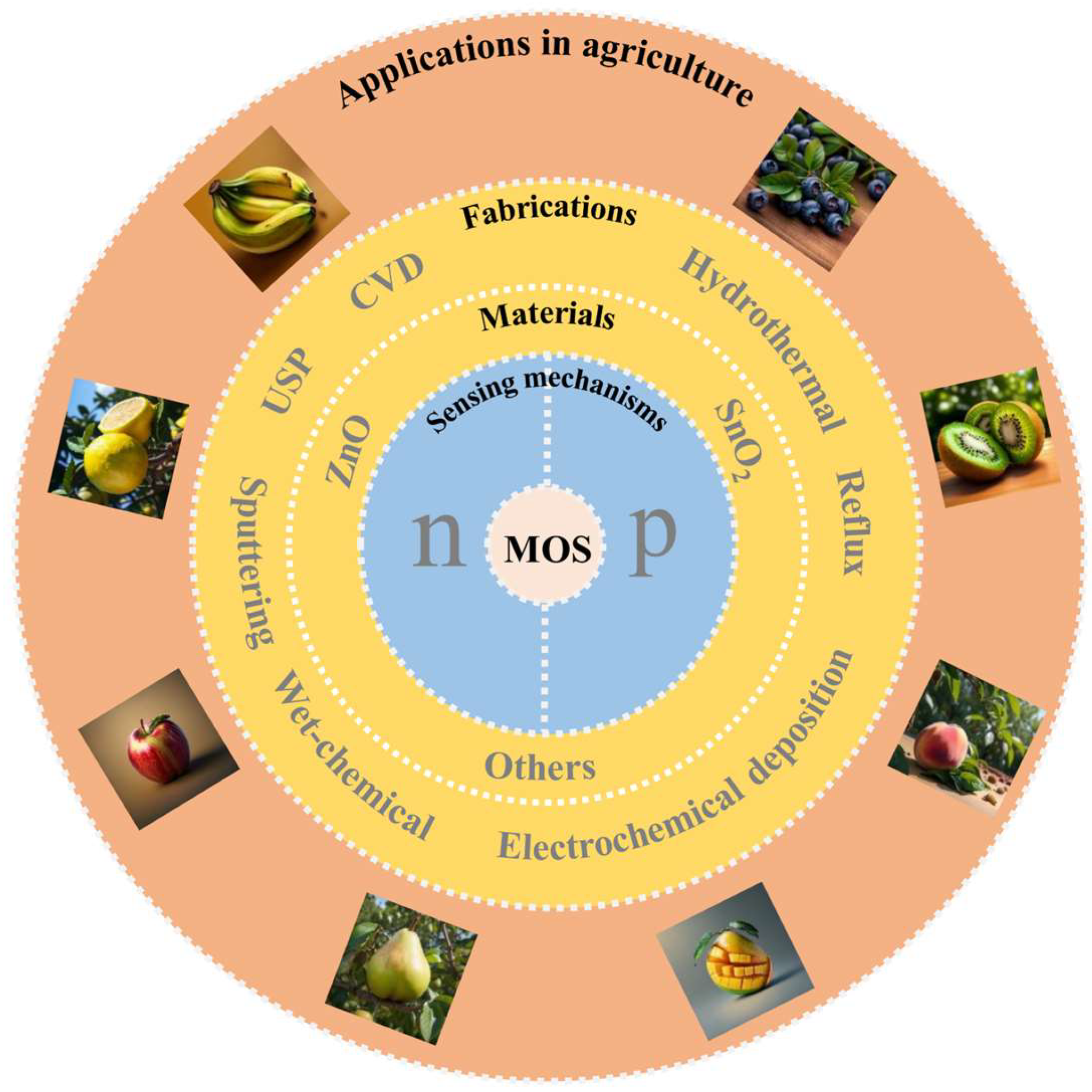 Chemosensors 12 00013 g001