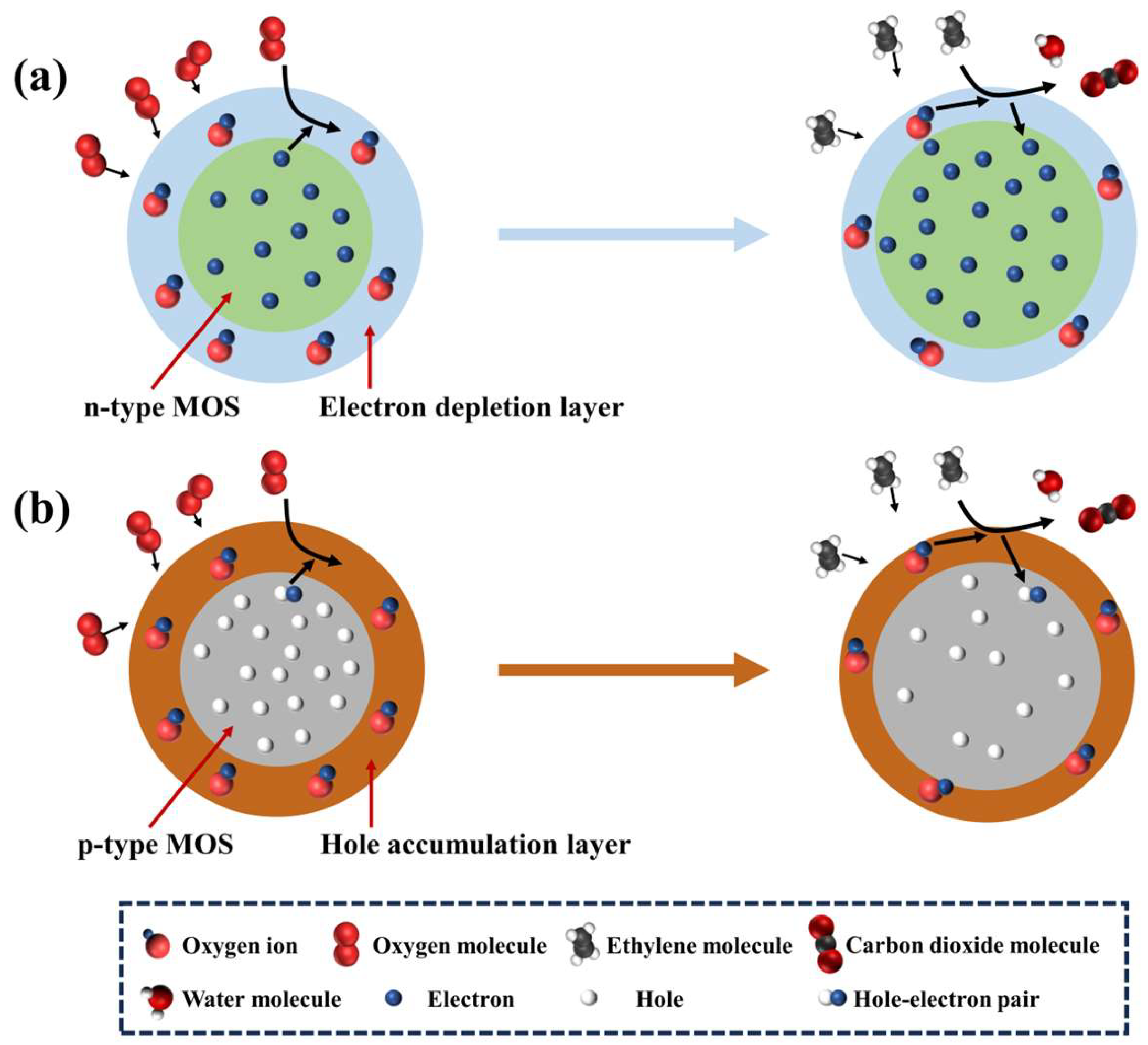 Chemosensors 12 00013 g006