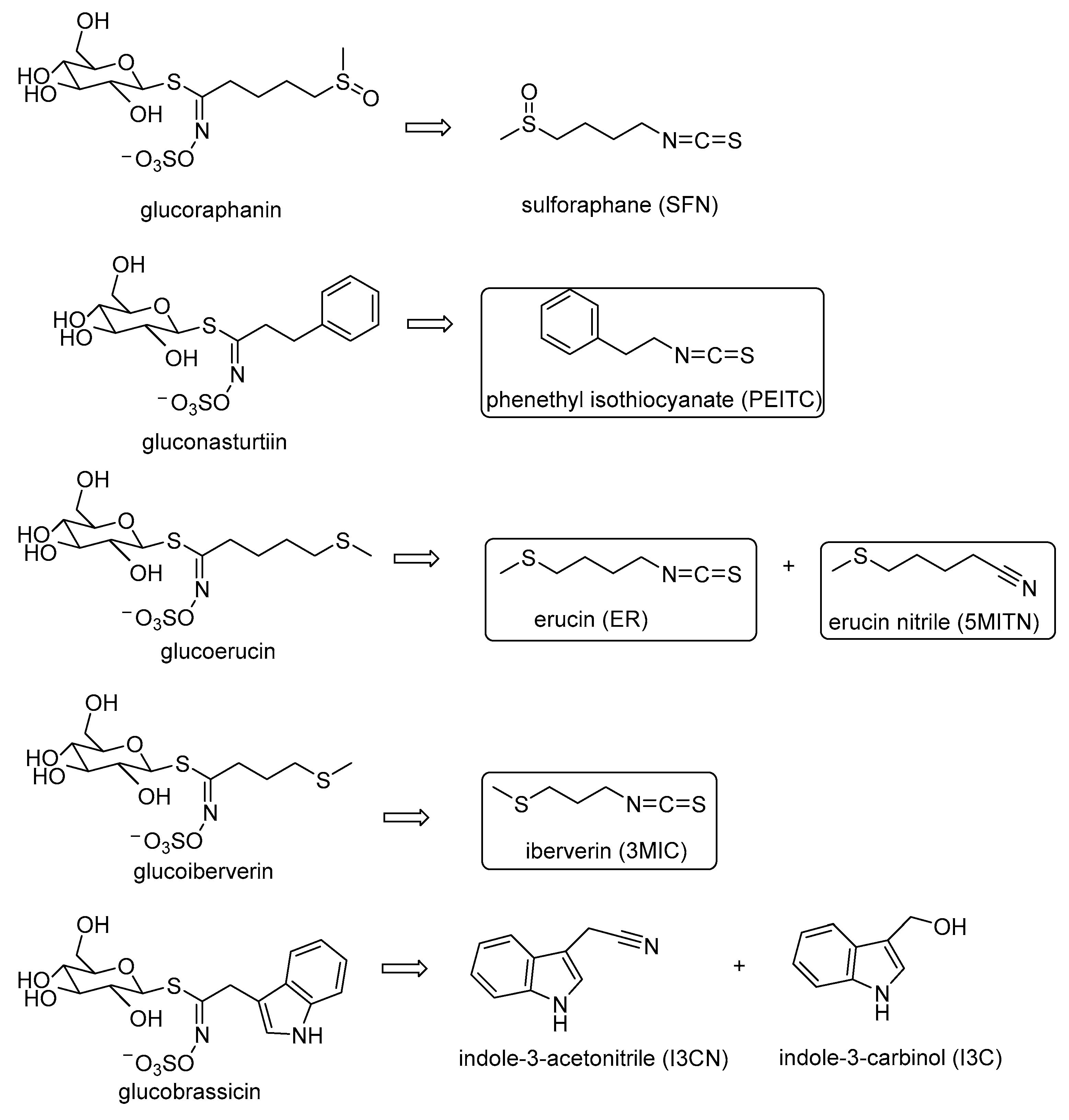 Chemosensors 12 00016 g001