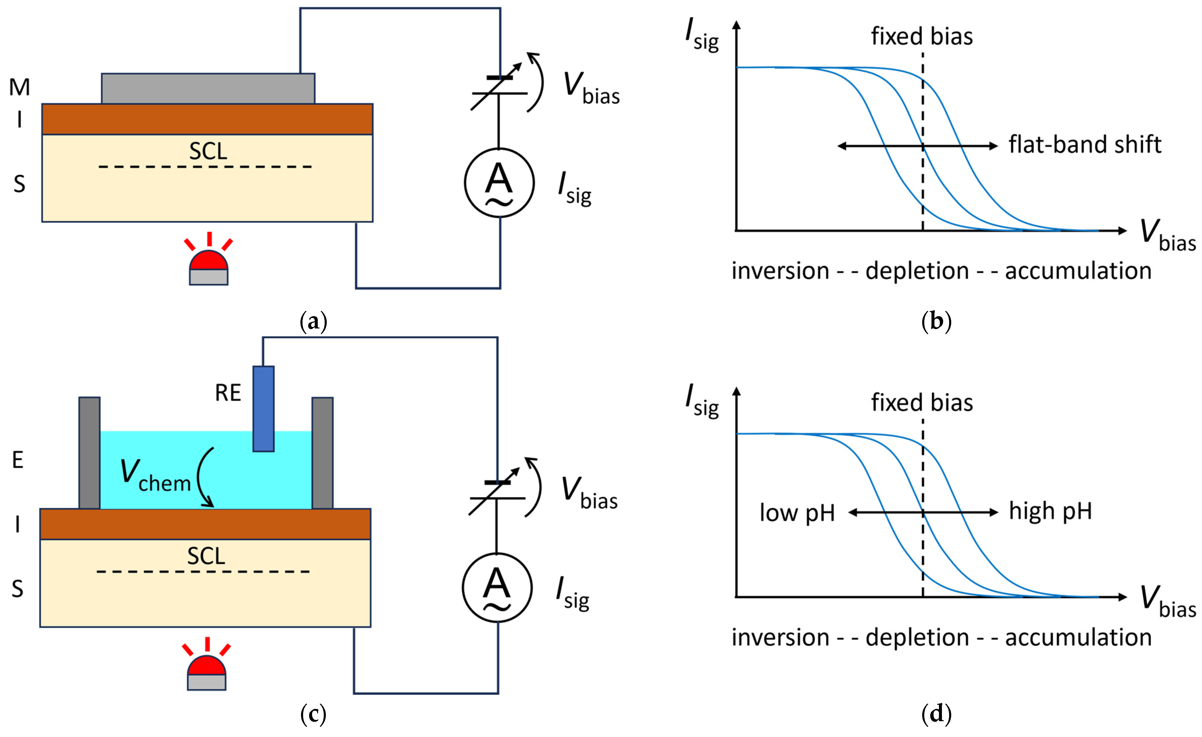Chemosensors 12 00020 g001