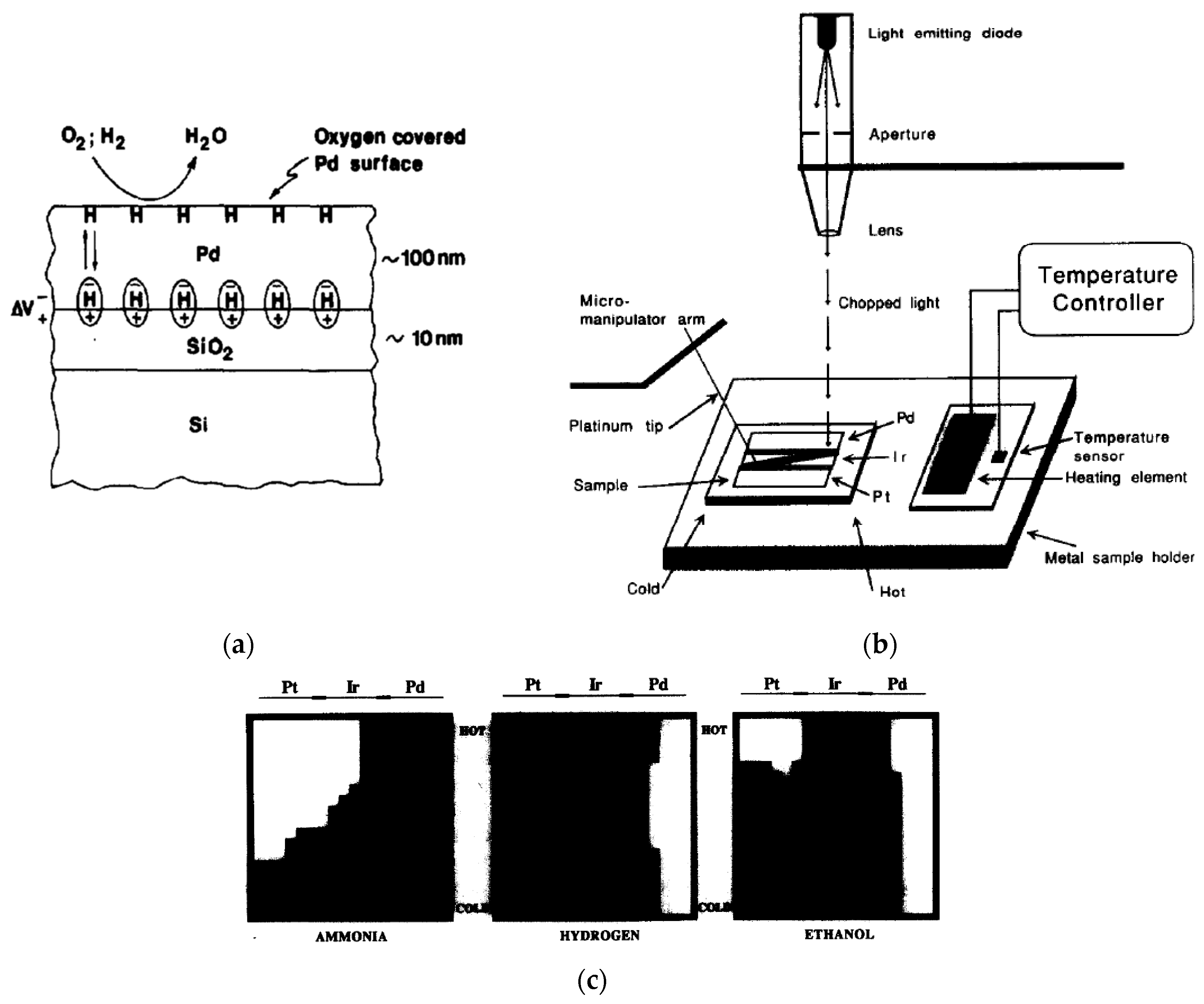 Chemosensors 12 00020 g002