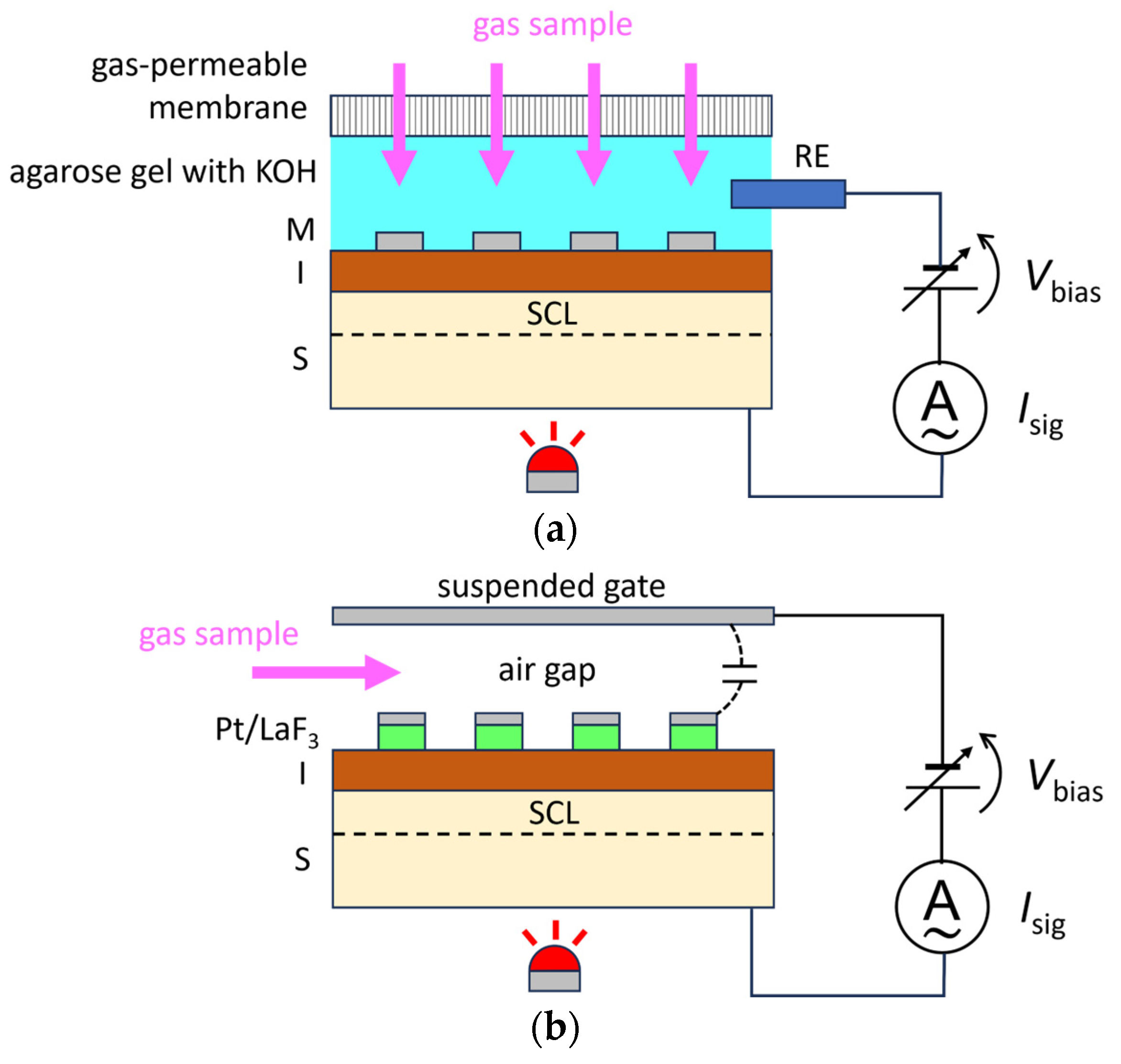 Chemosensors 12 00020 g003