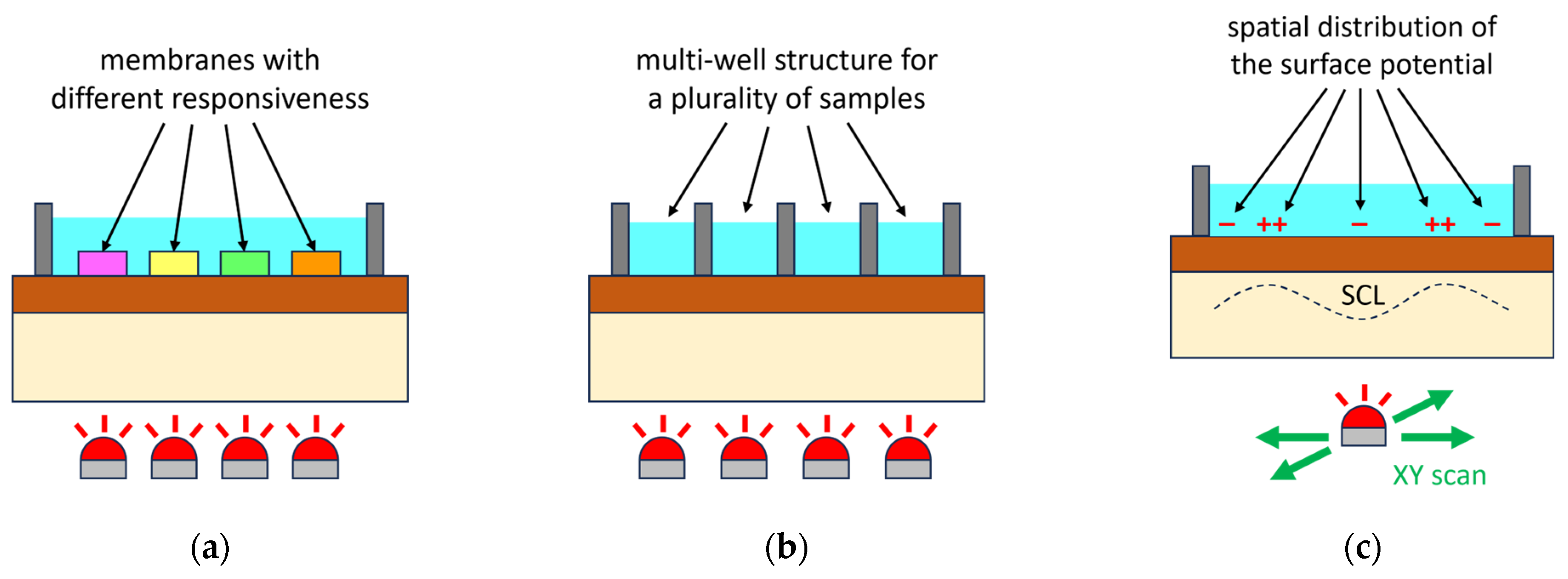 Chemosensors 12 00020 g004