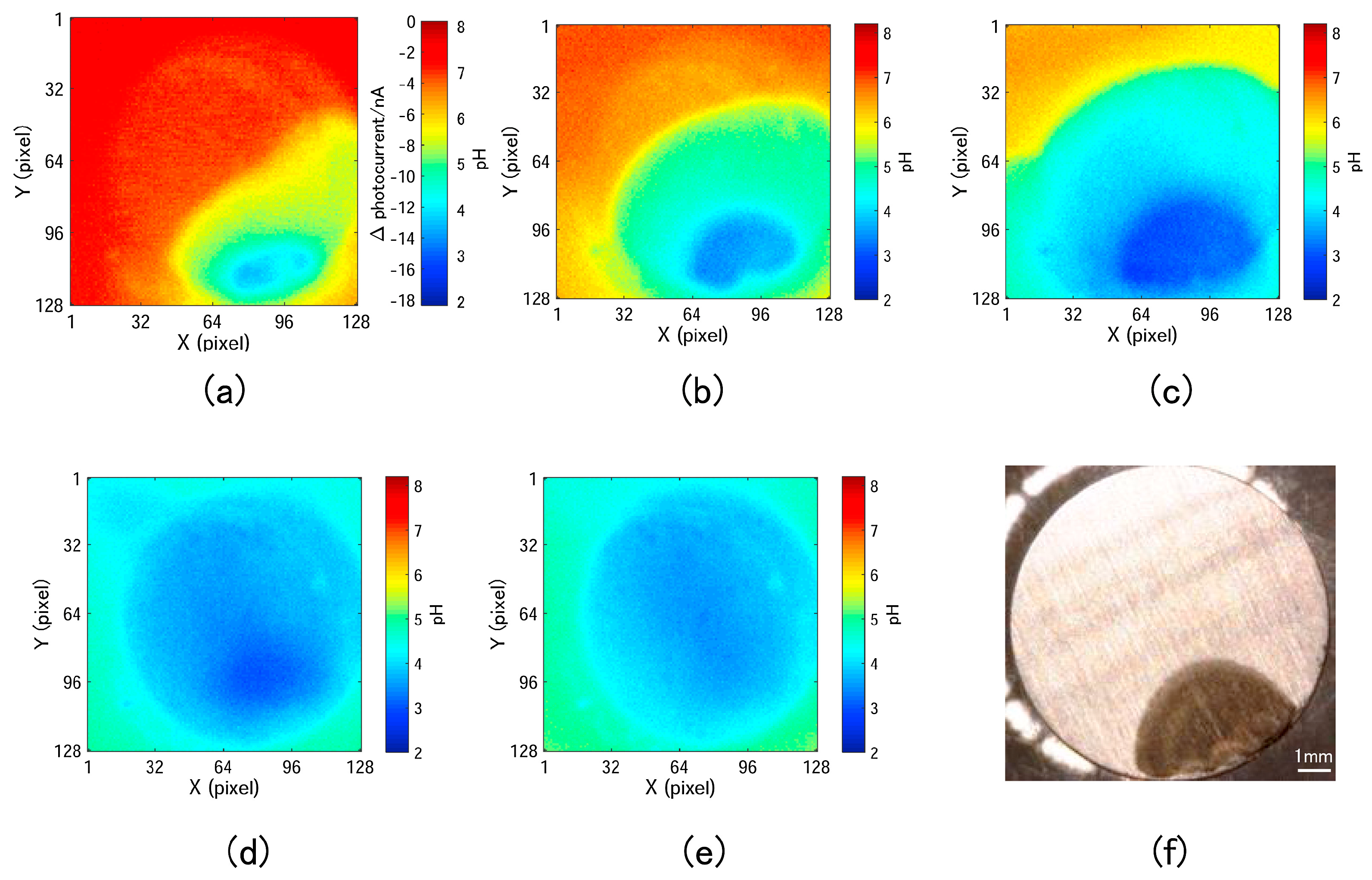 Chemosensors 12 00020 g005