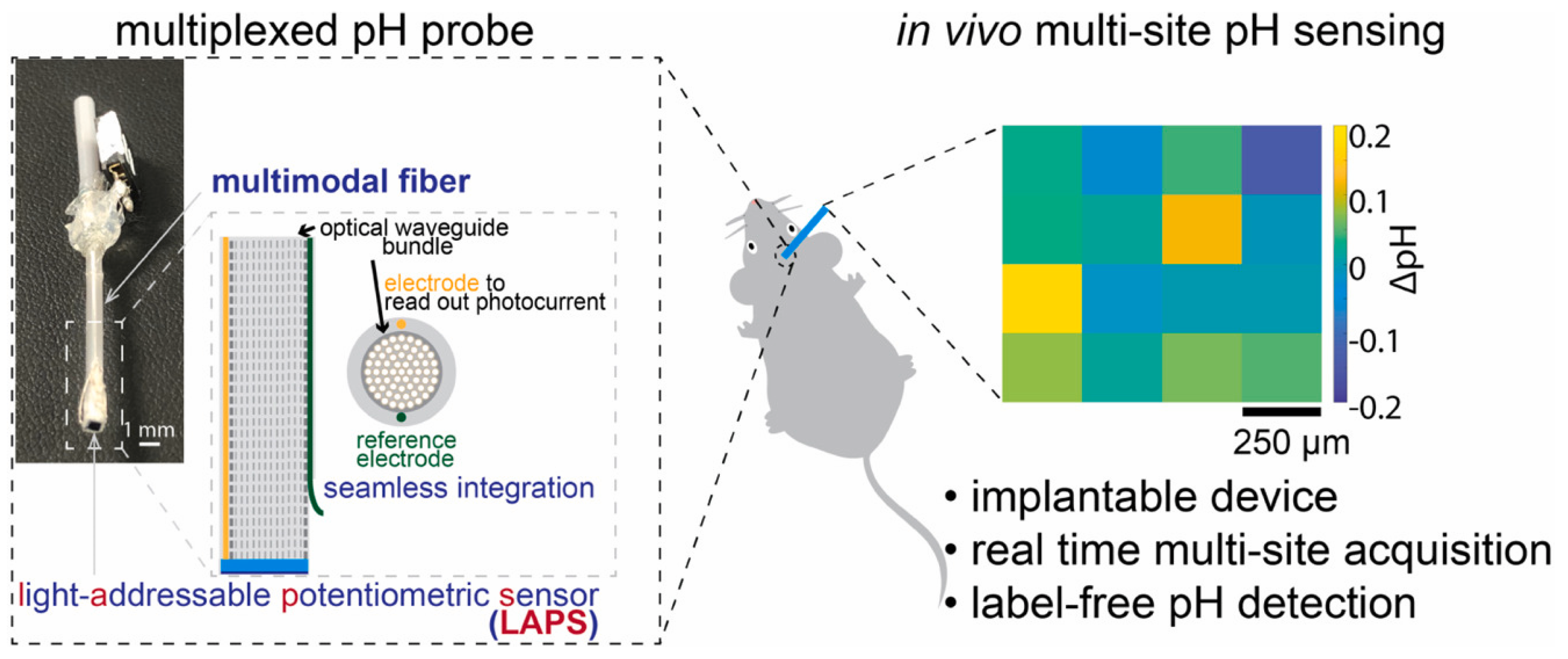 Chemosensors 12 00020 g007