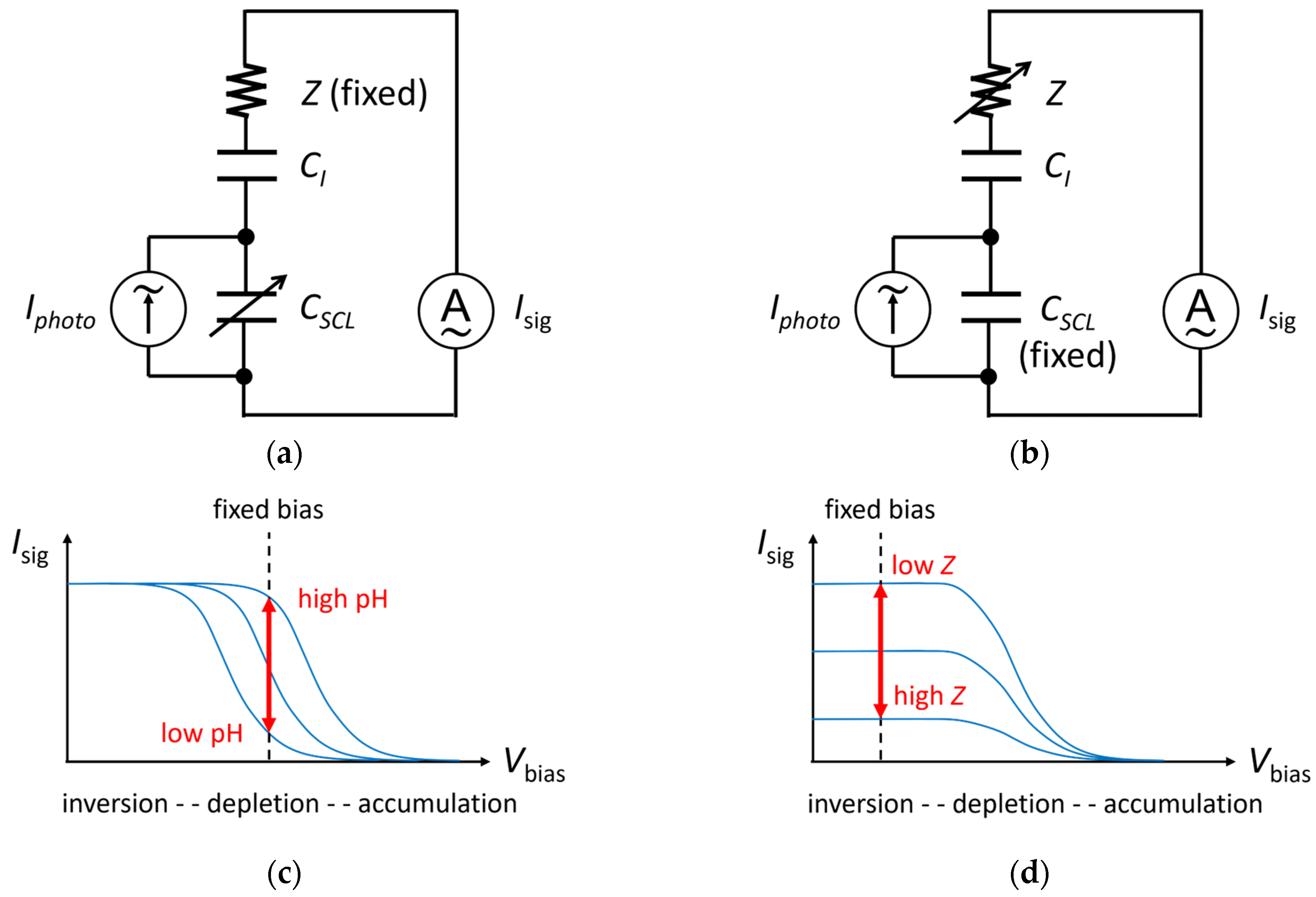 Chemosensors 12 00020 g008