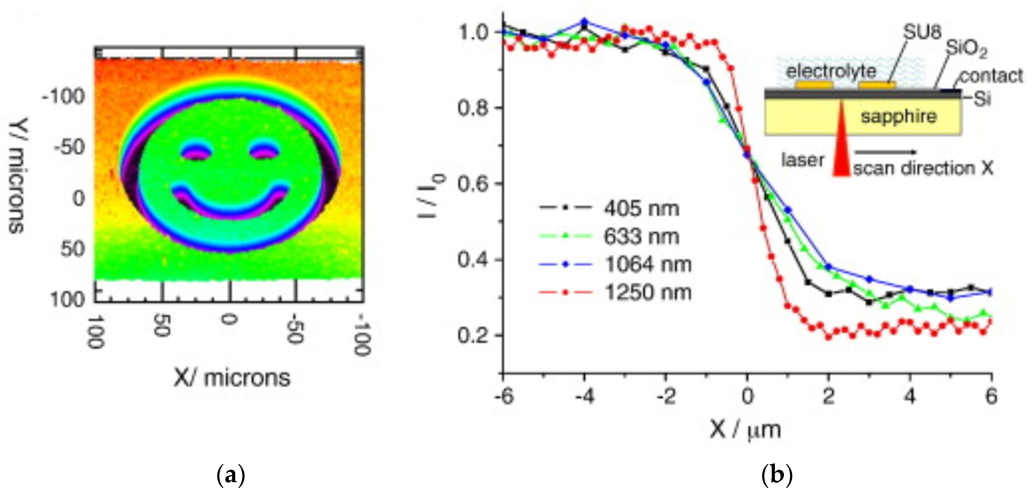 Chemosensors 12 00020 g009