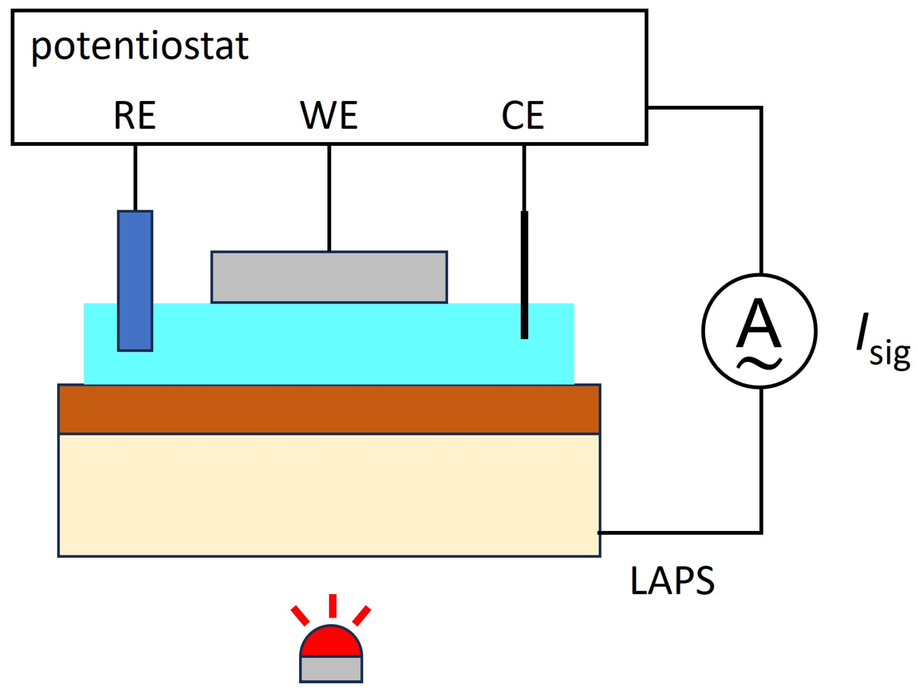 Chemosensors 12 00020 g010
