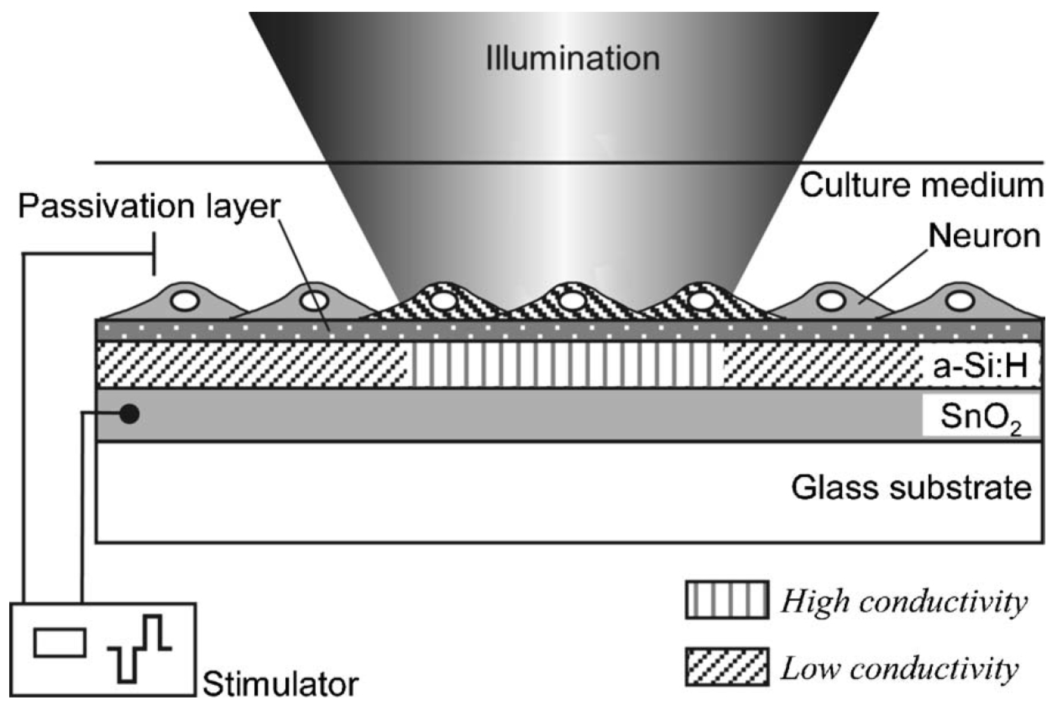 Chemosensors 12 00020 g011