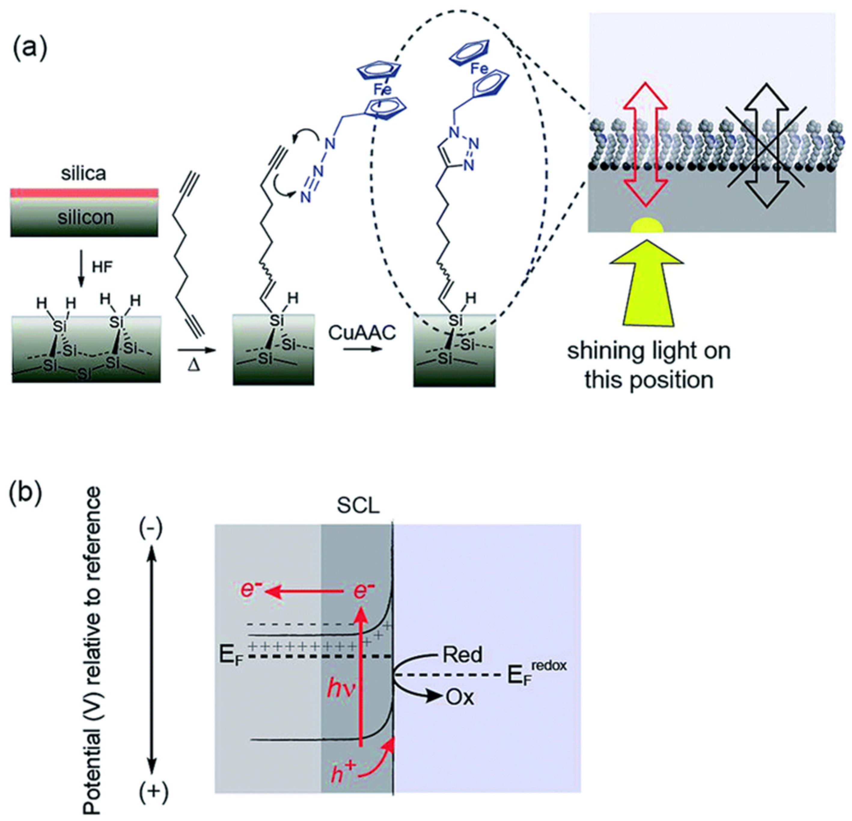 Chemosensors 12 00020 g012