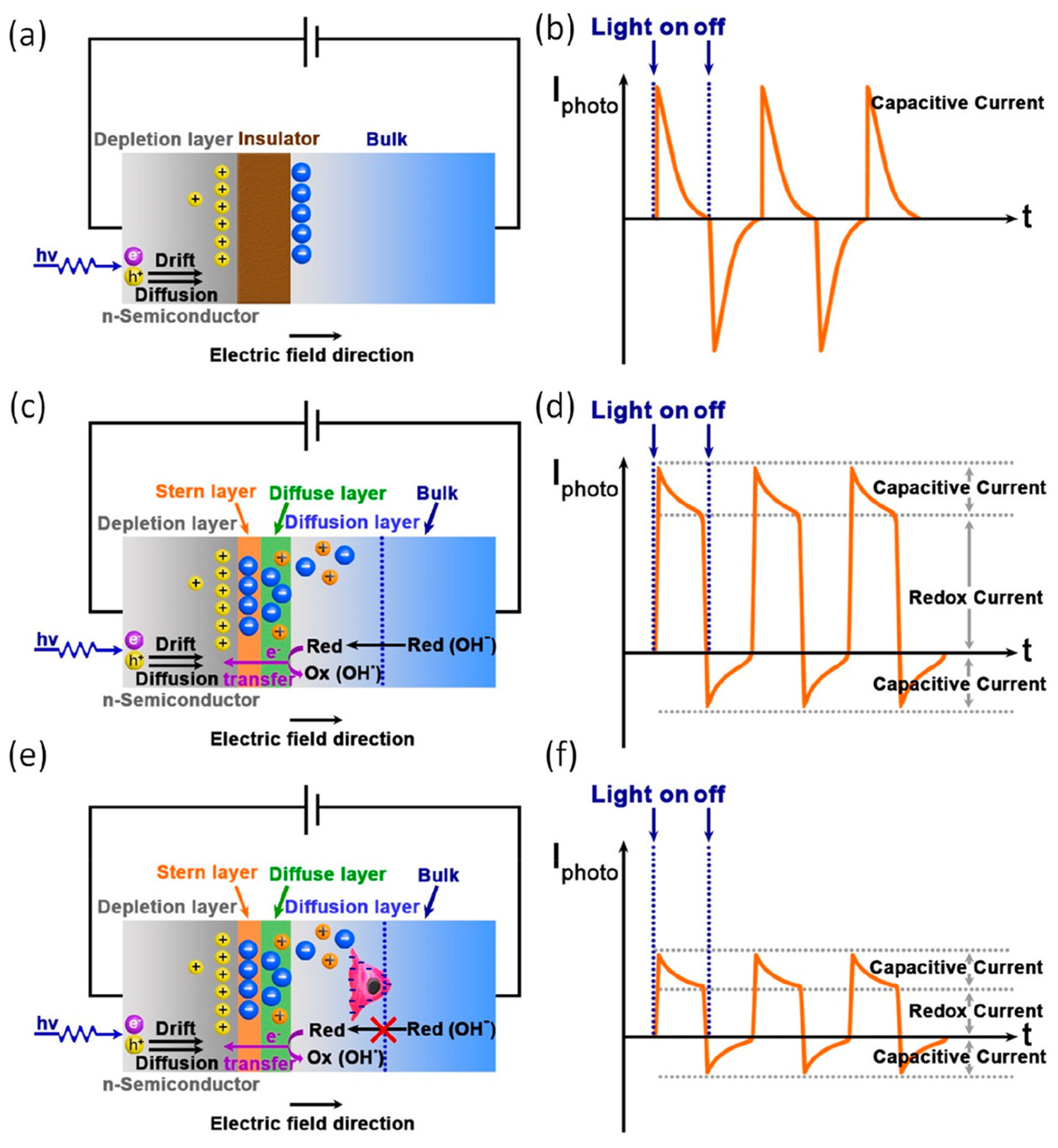 Chemosensors 12 00020 g013