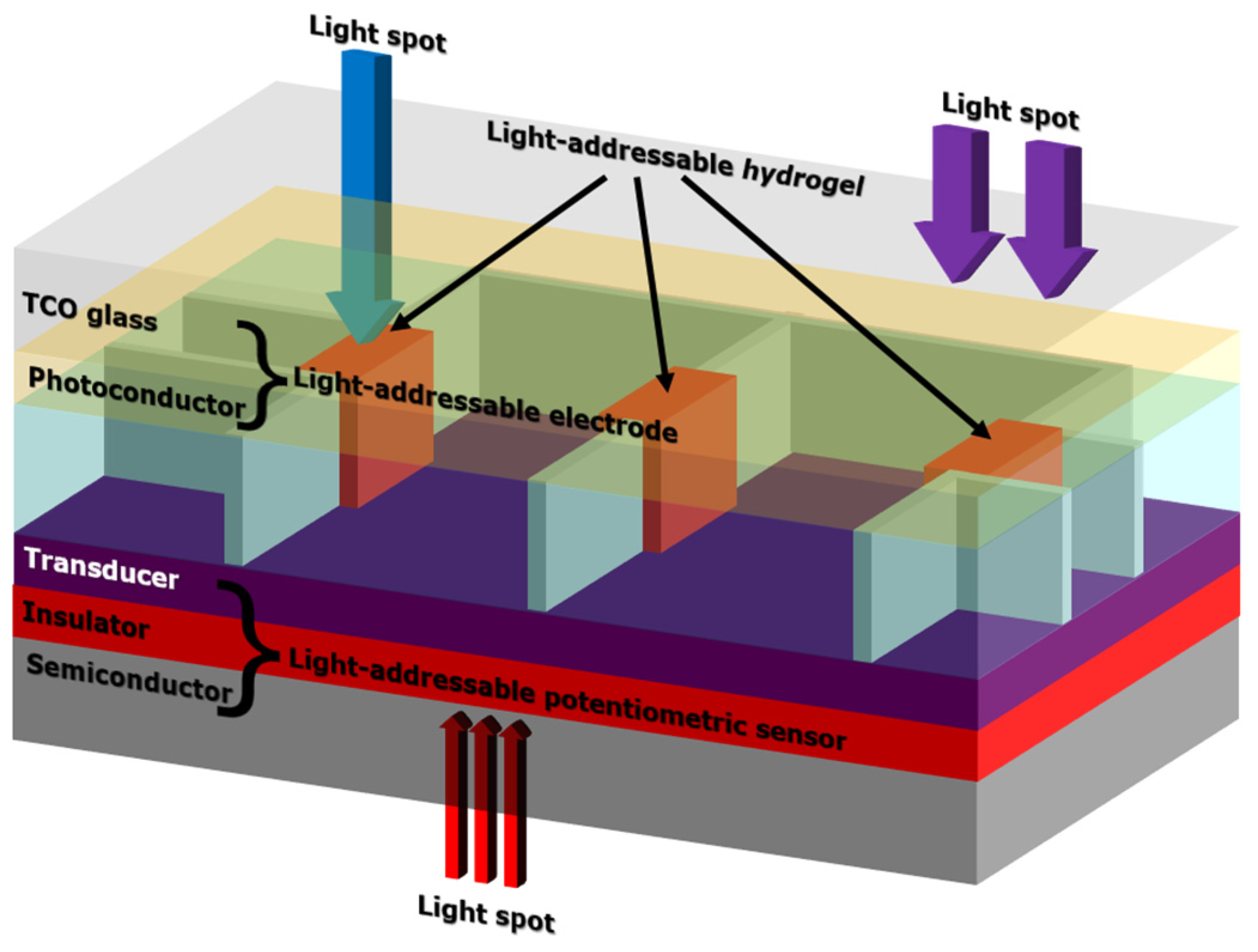 Chemosensors 12 00020 g014