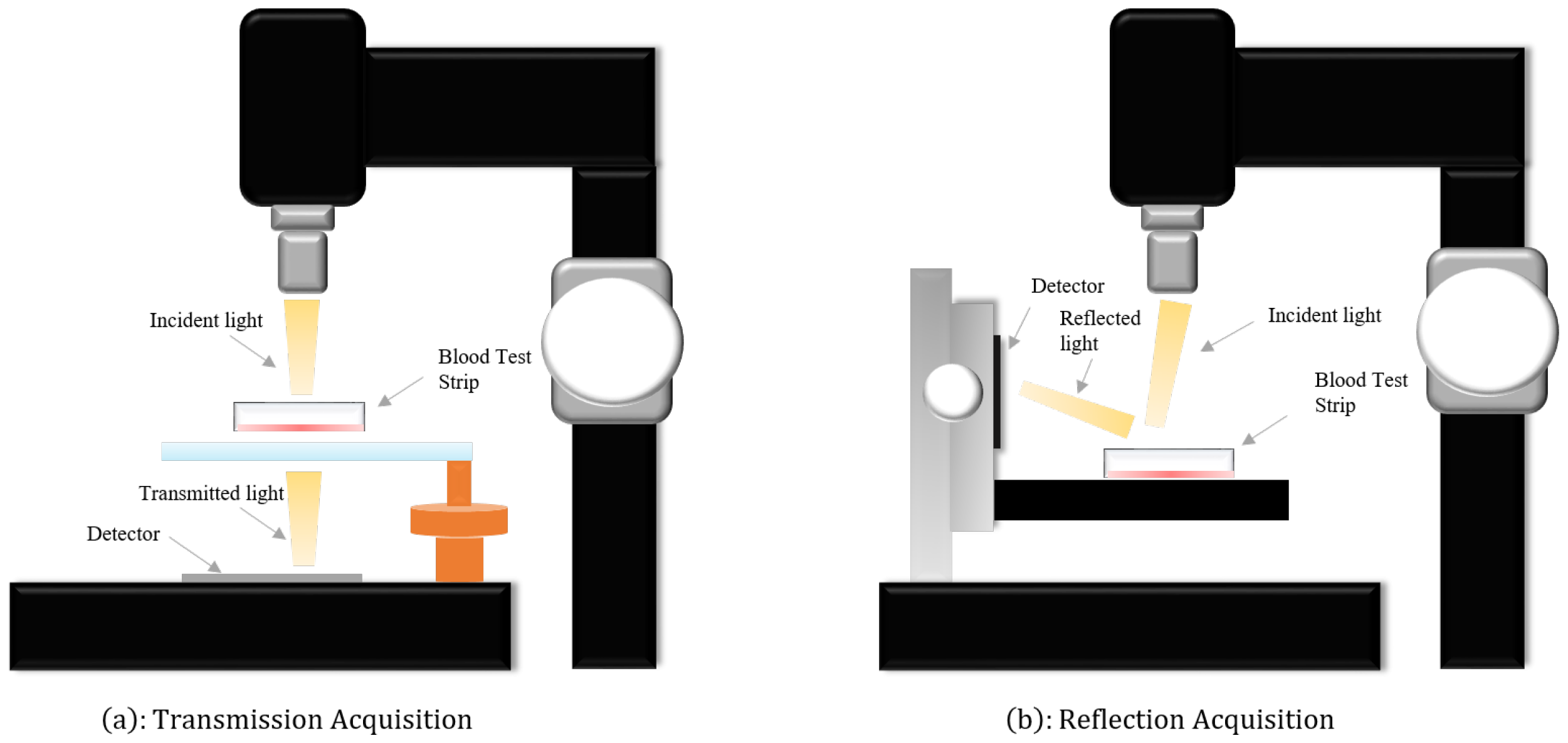 Chemosensors 12 00029 g001