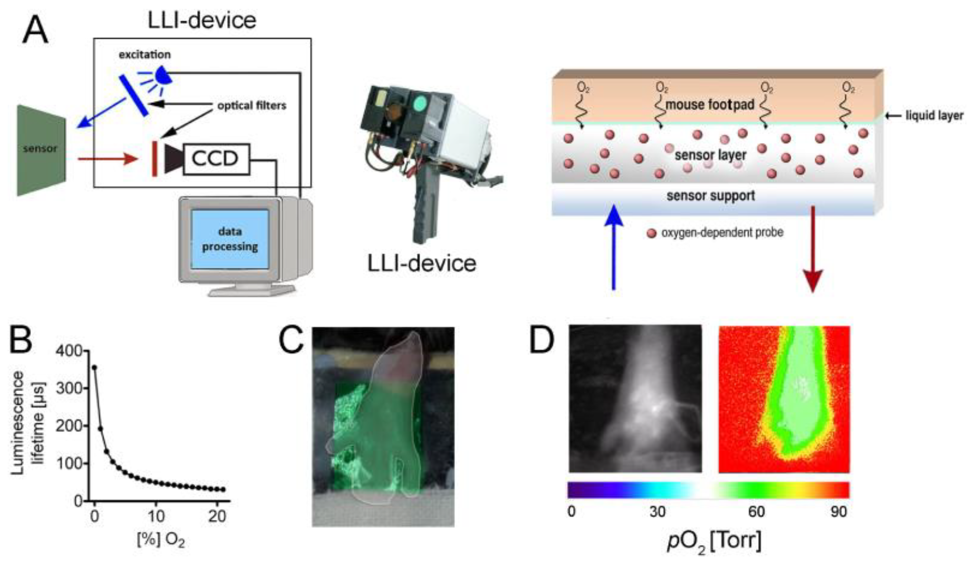 Chemosensors 12 00031 g002