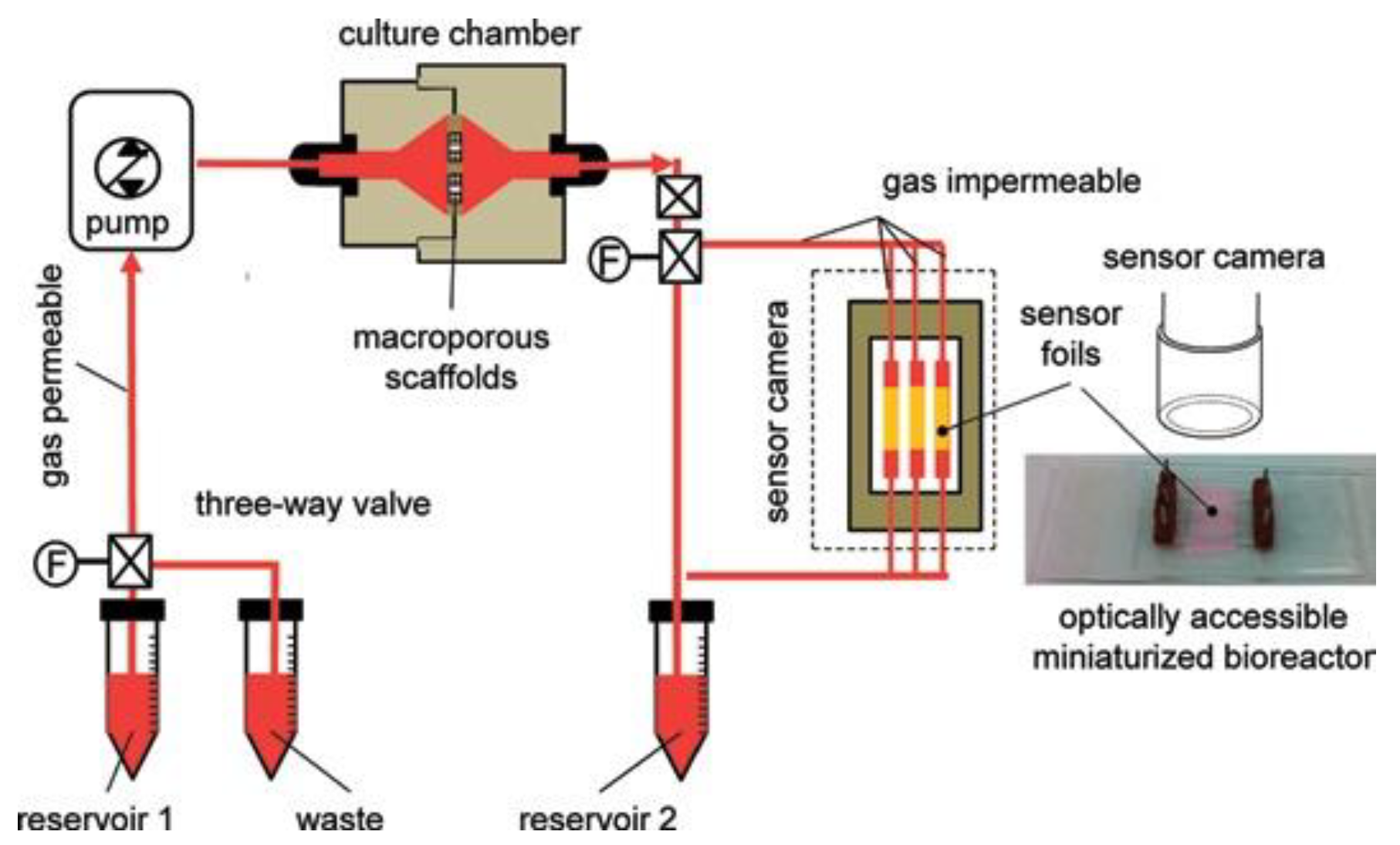 Chemosensors 12 00031 g003