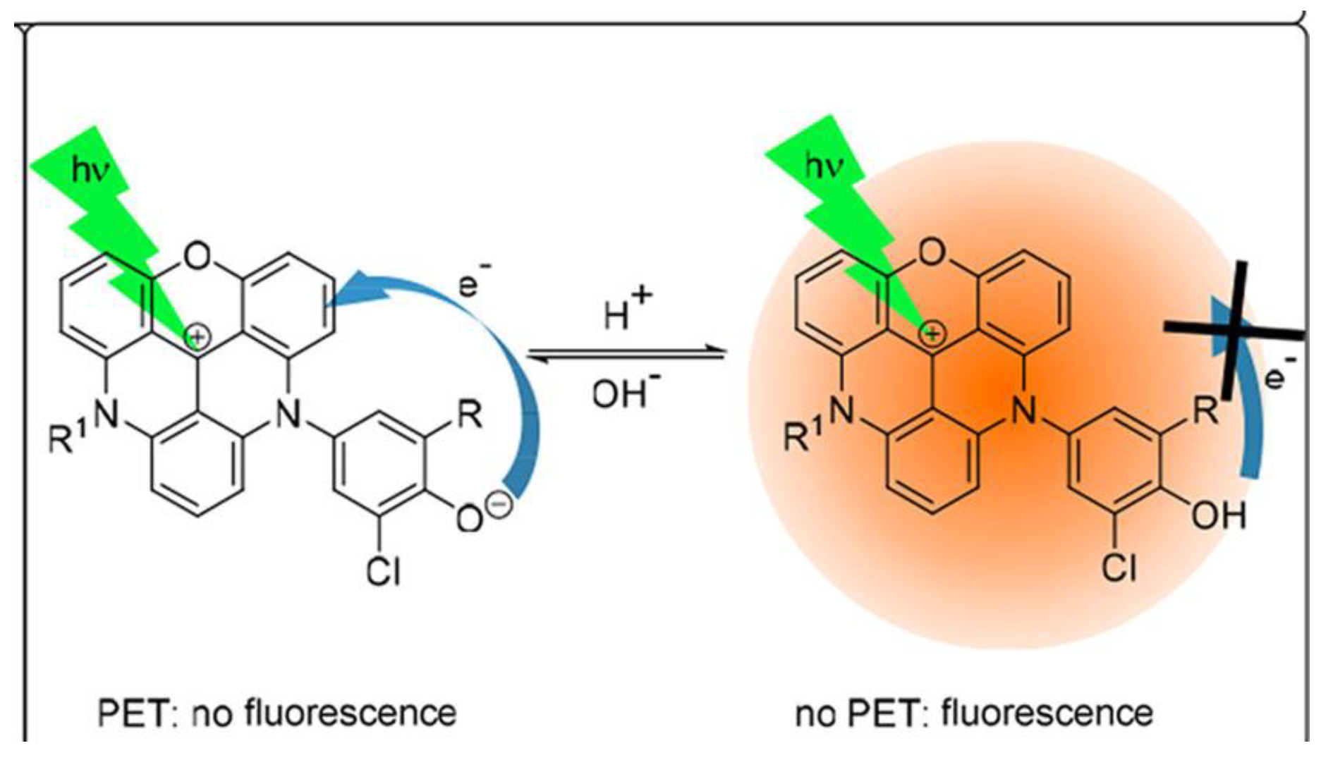 Chemosensors 12 00031 g004
