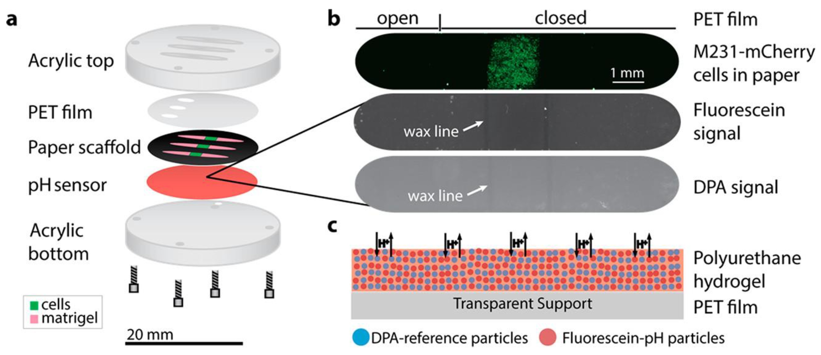 Chemosensors 12 00031 g005