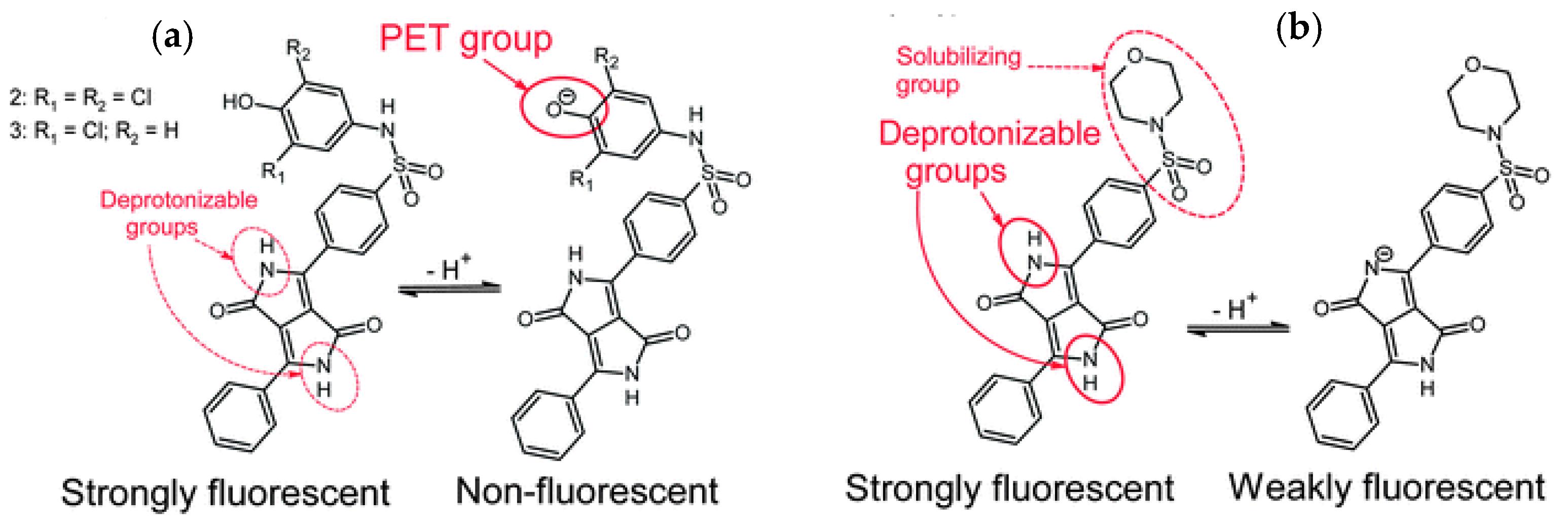 Chemosensors 12 00031 g006