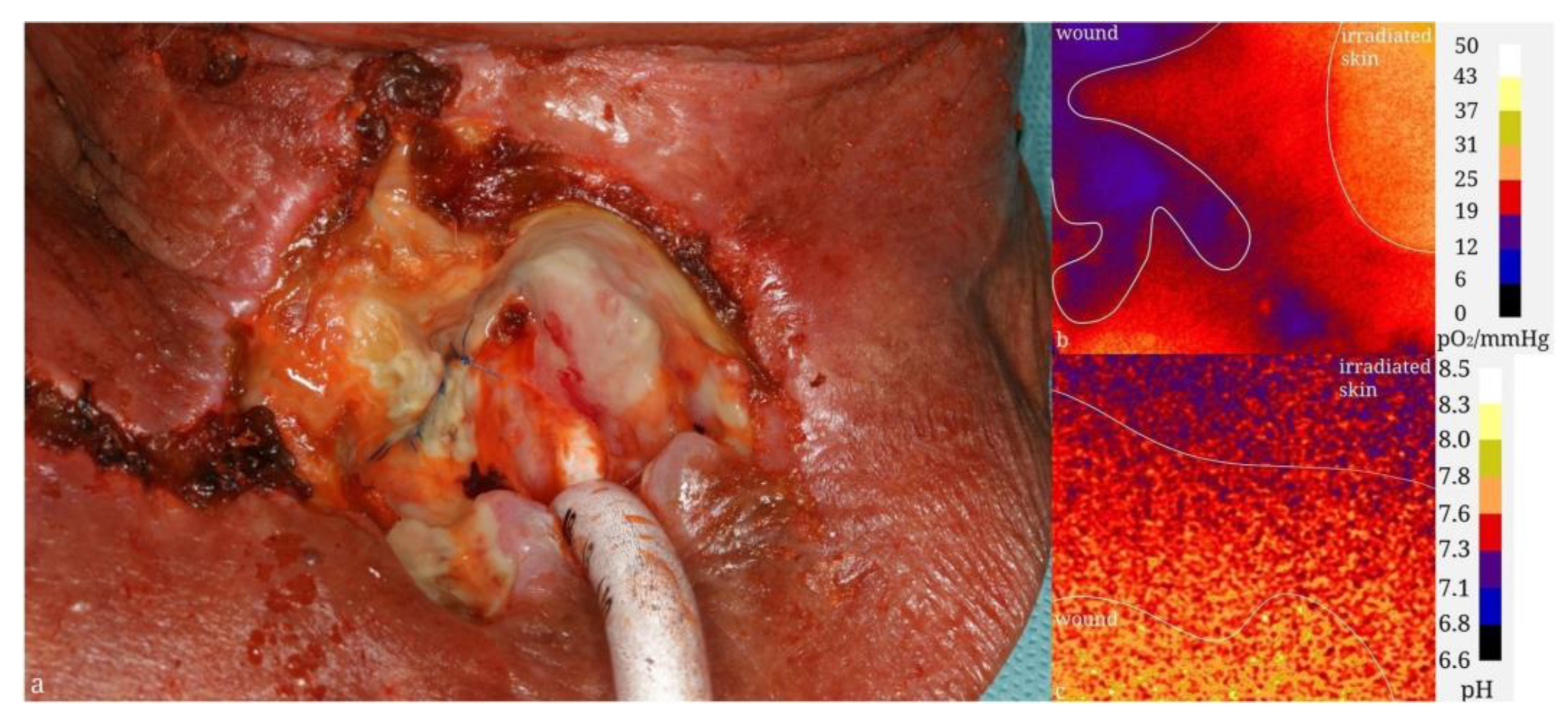 Chemosensors 12 00031 g007