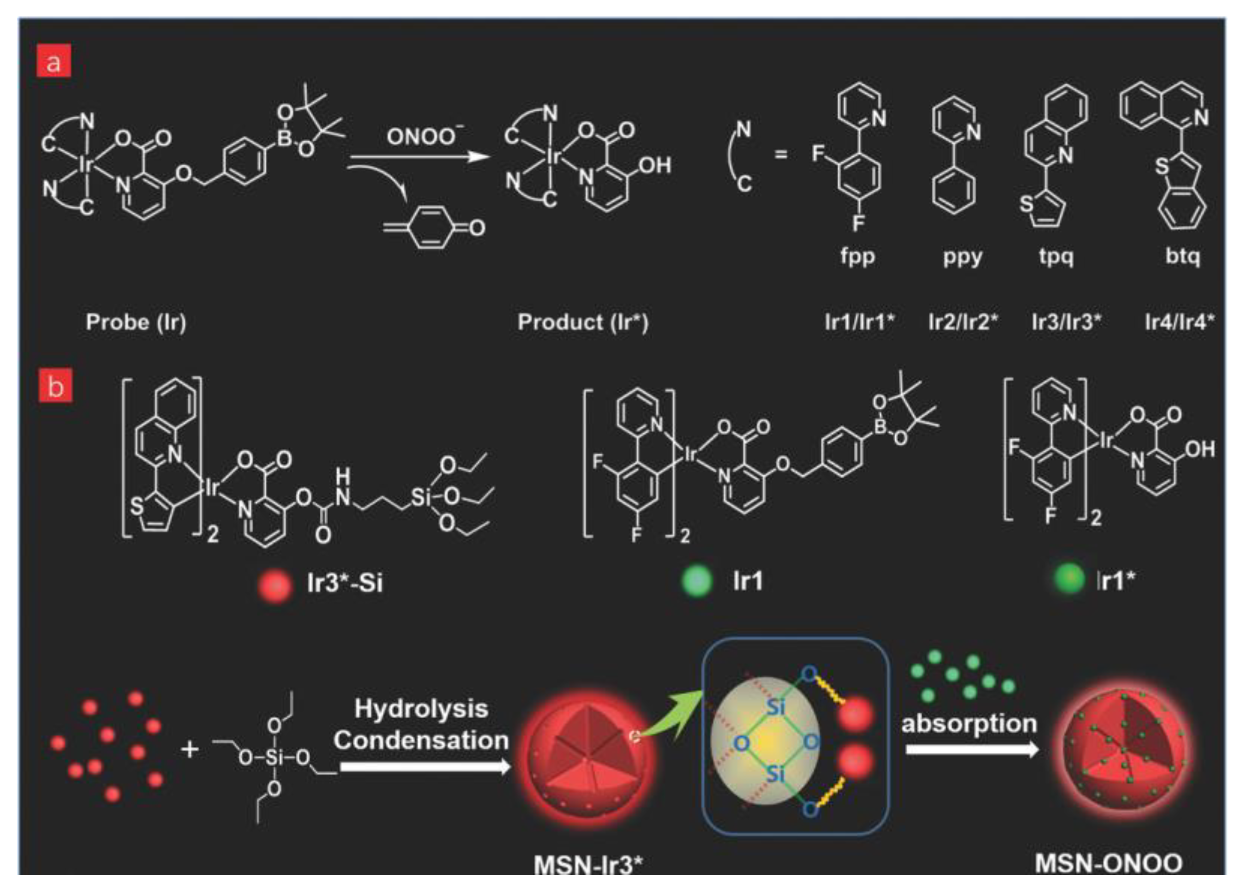 Chemosensors 12 00031 g008