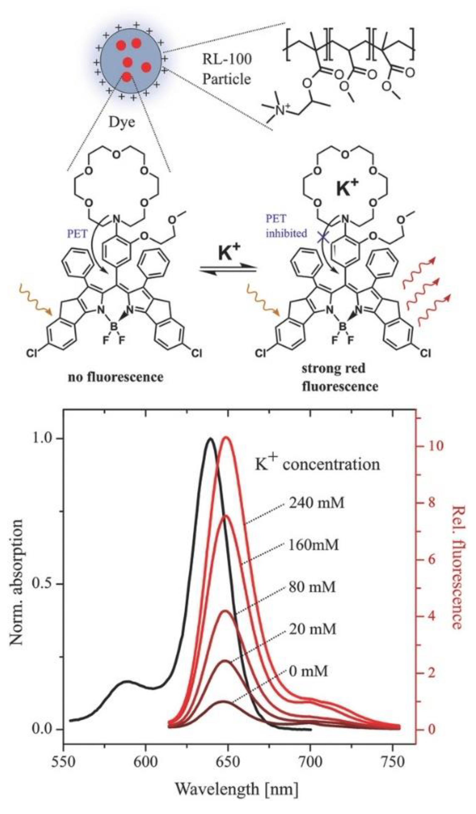 Chemosensors 12 00031 g011