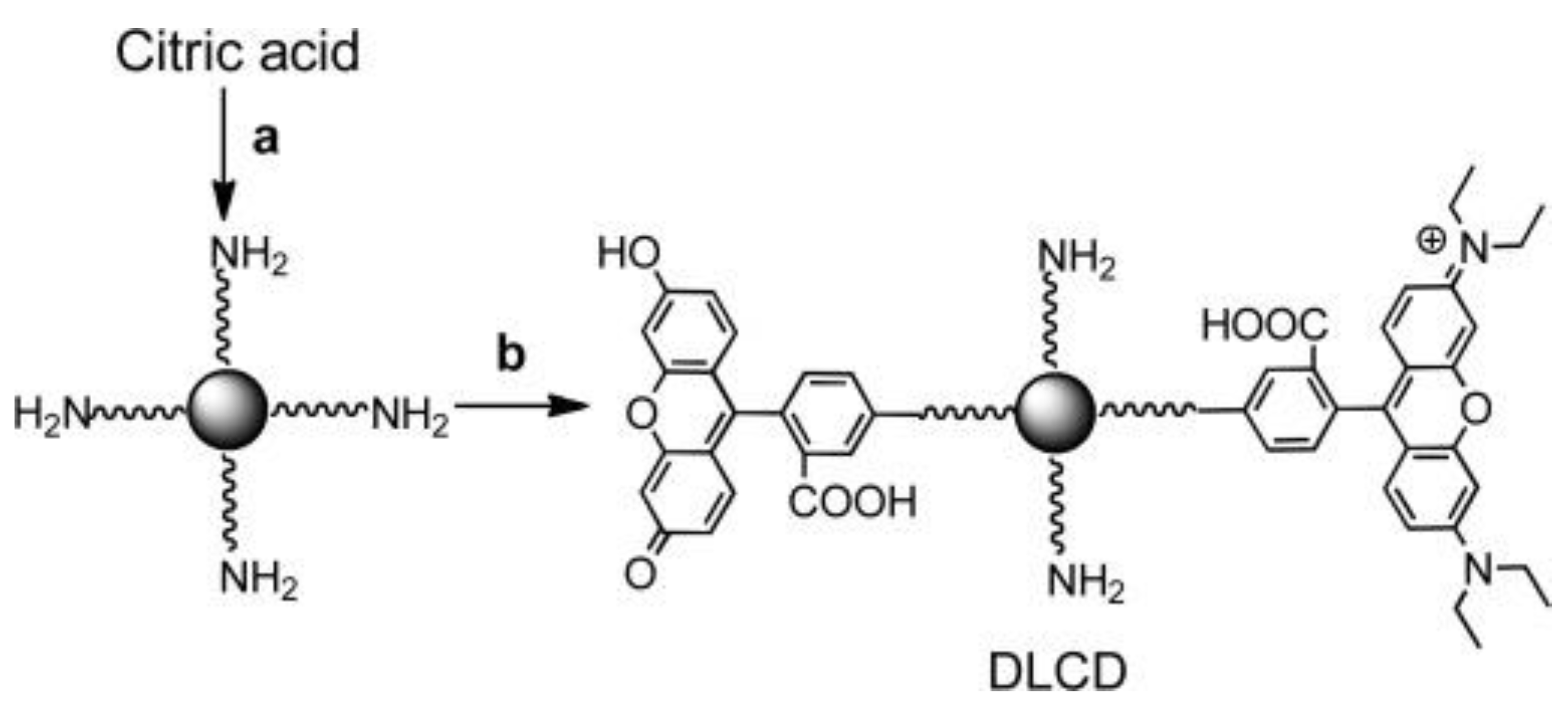 Chemosensors 12 00031 g012