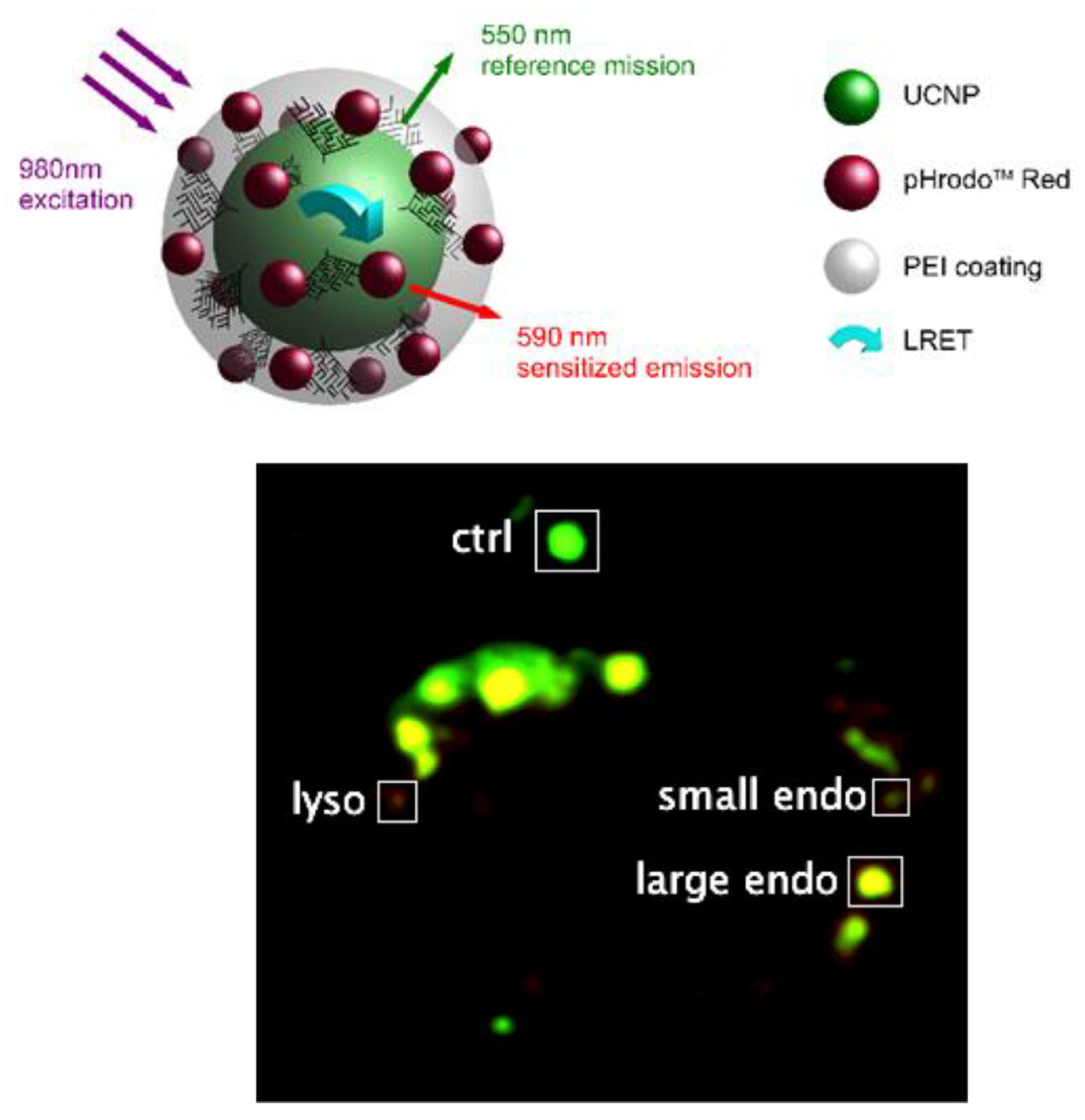 Chemosensors 12 00031 g014