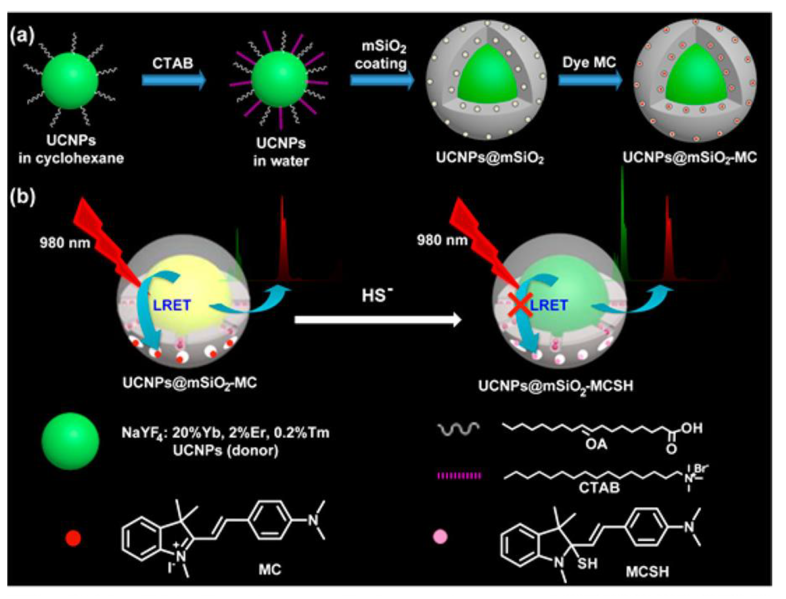 Chemosensors 12 00031 g016