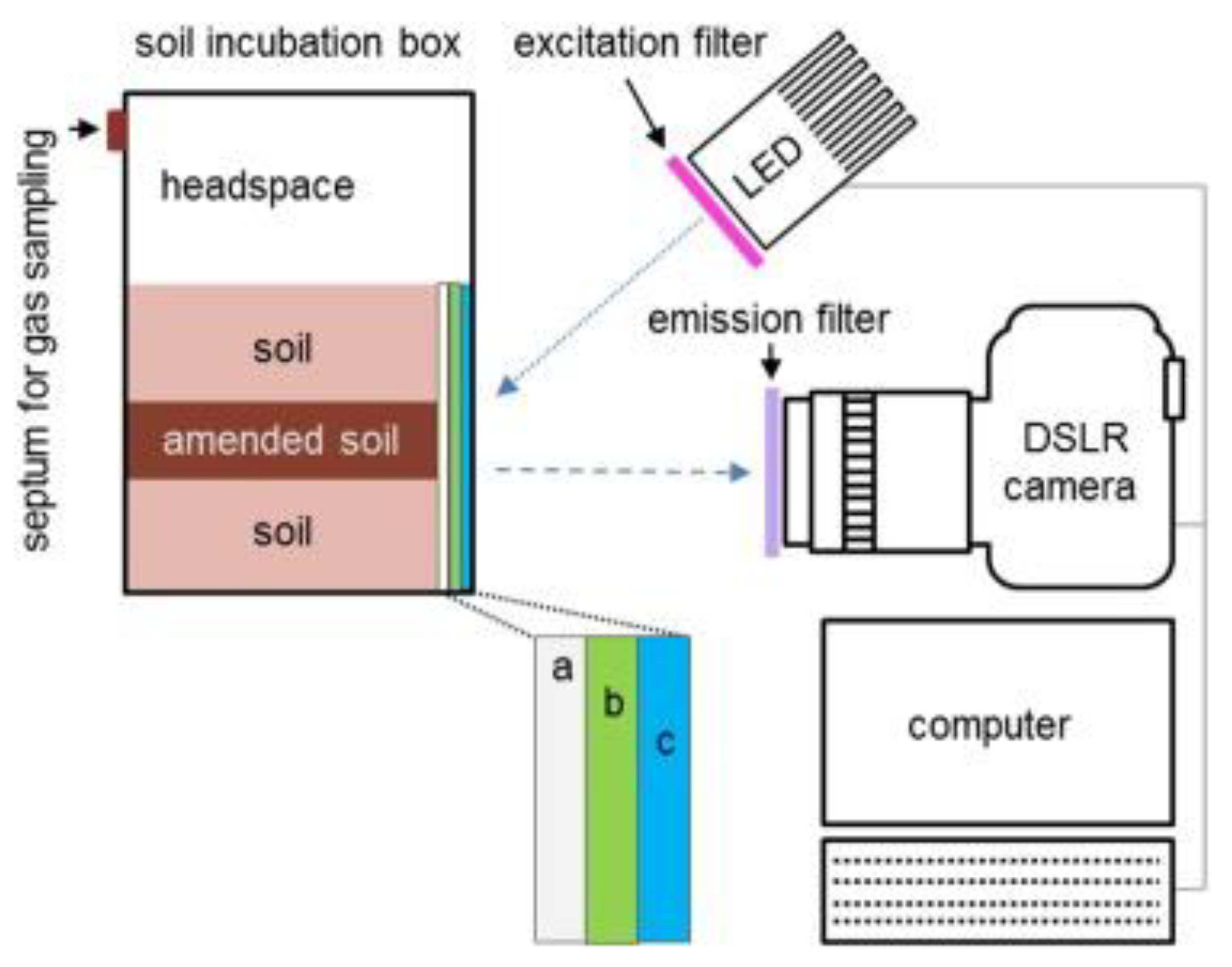 Chemosensors 12 00031 g017